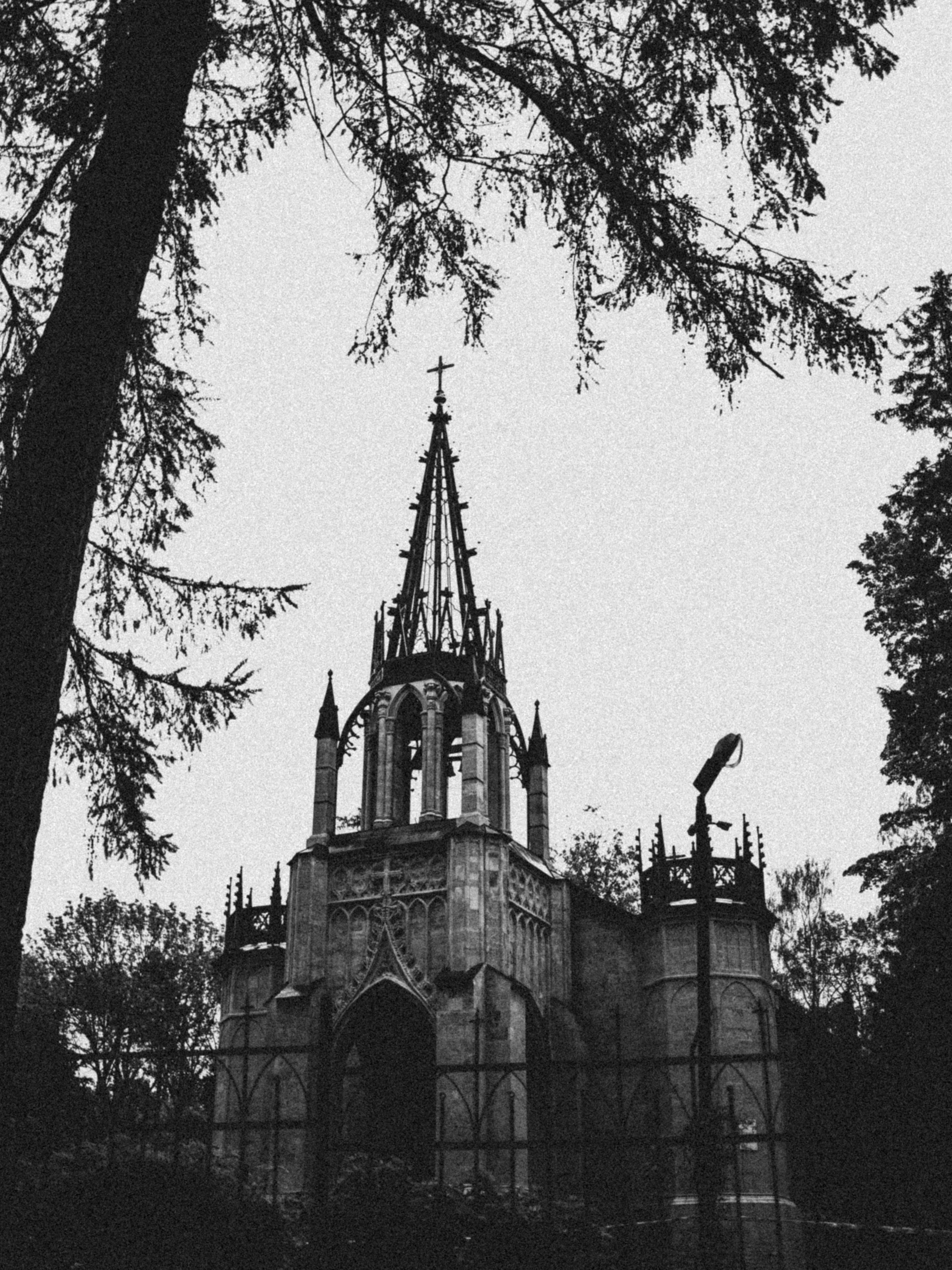 Syrax. Анна Мильч