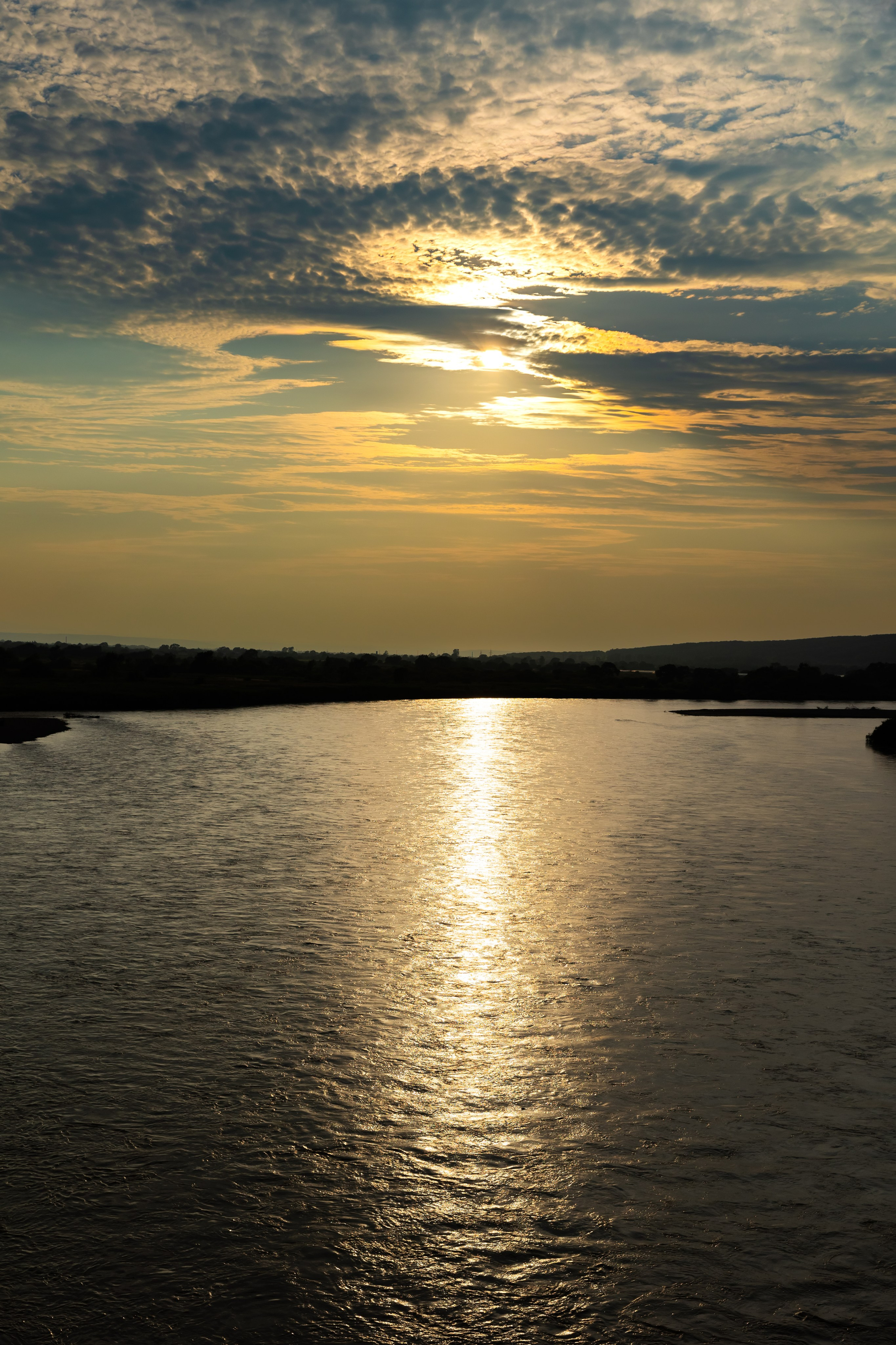 ШАРЫ. Фотограф семейных, детских, репортажных съёмок г. Уссурийск-Владивосток