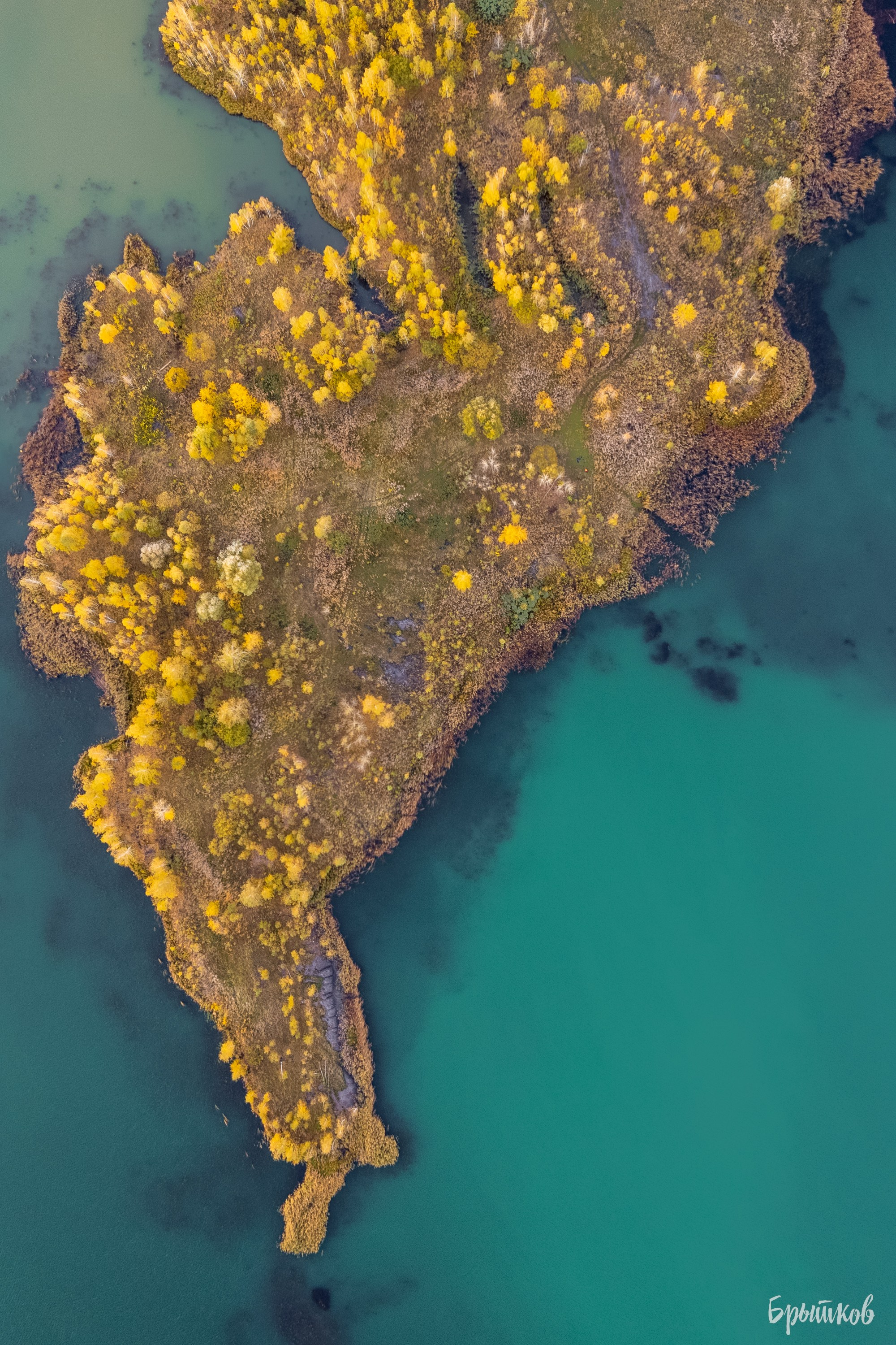 люторичи кондуки осень