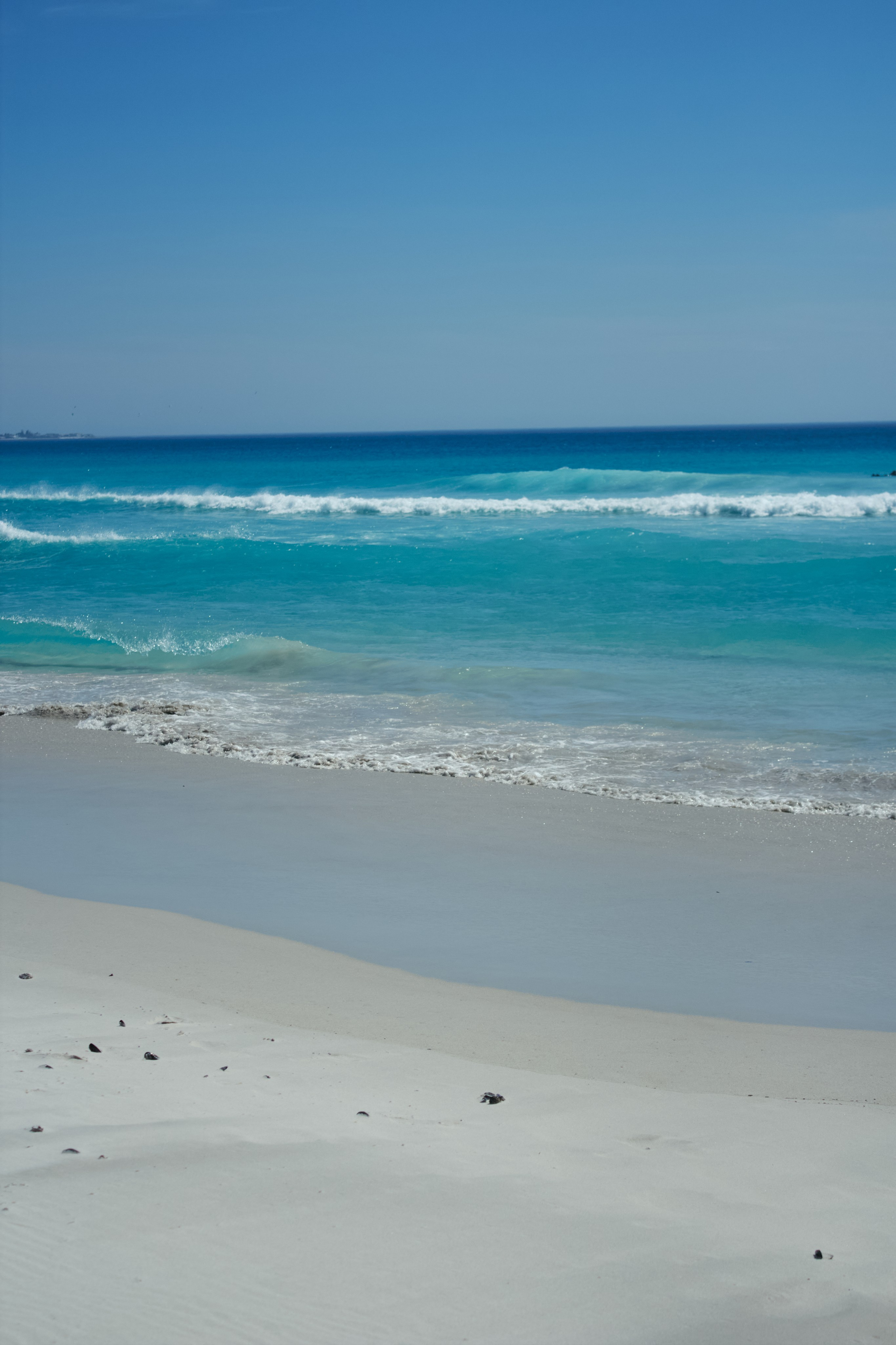 ЮАР. Профессиональный Фотограф во Владимире, в Москве и в Суздале — Полина Романычева