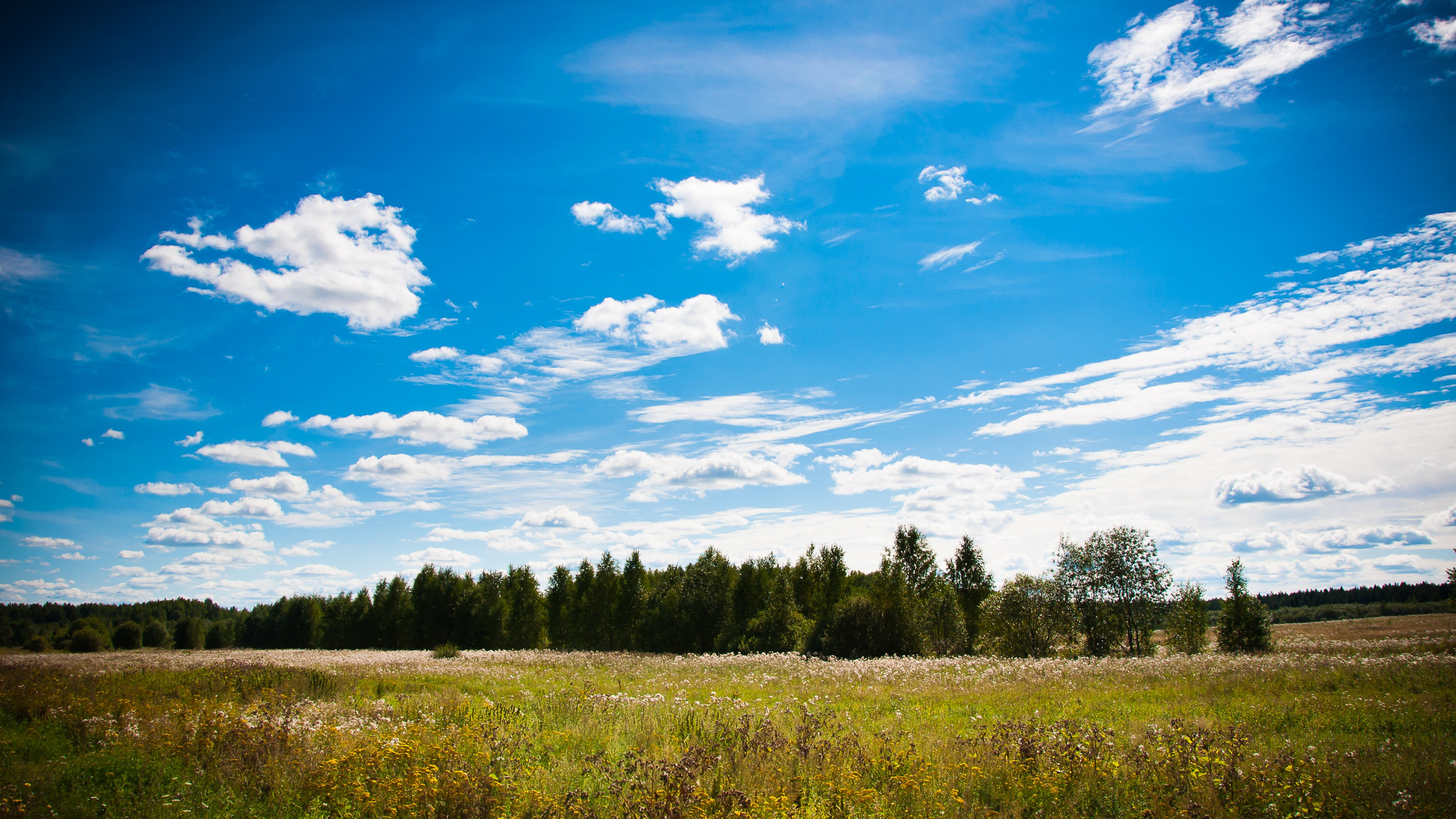 Взгляд через объектив