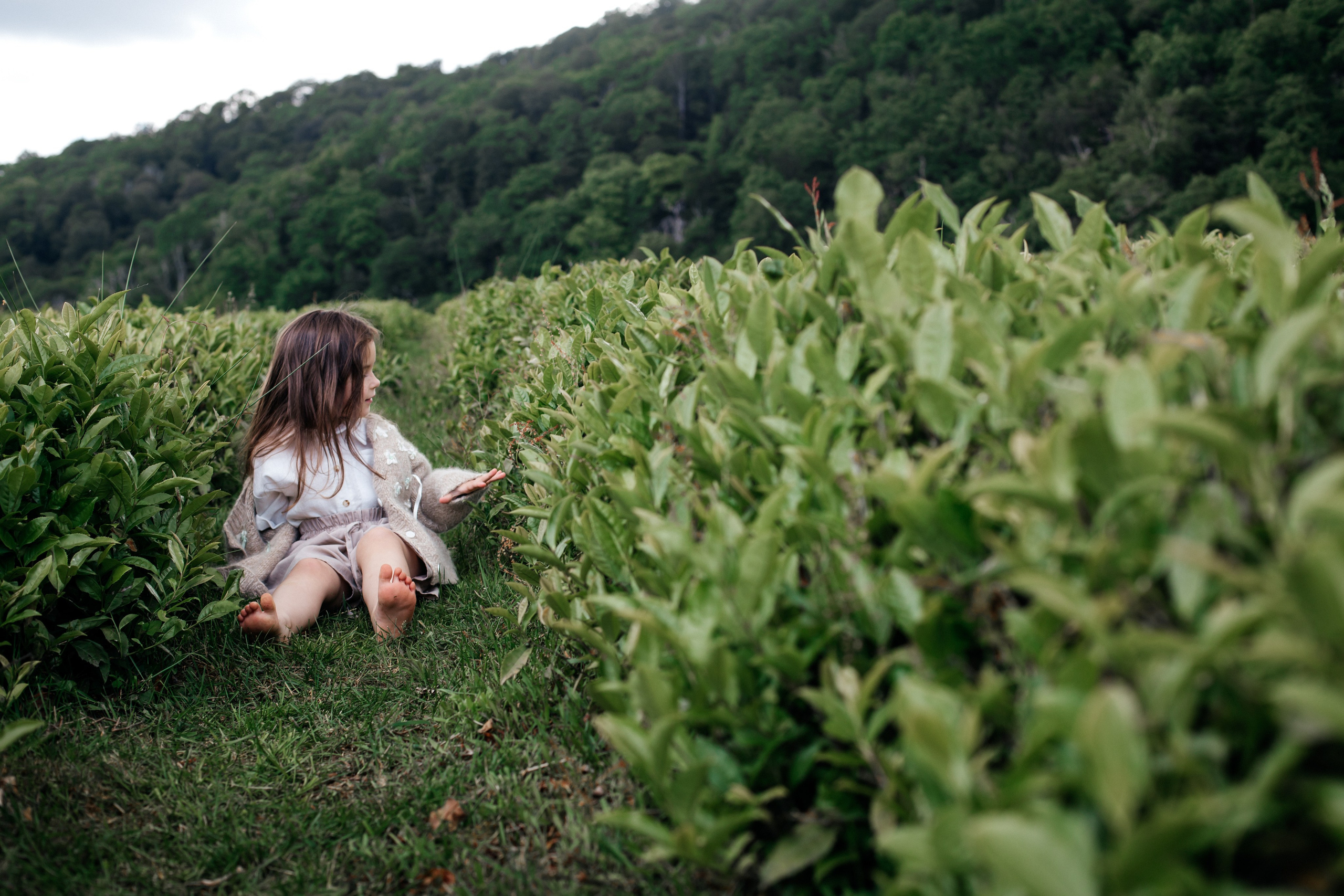 Tea plantation. Efimova Model Agency