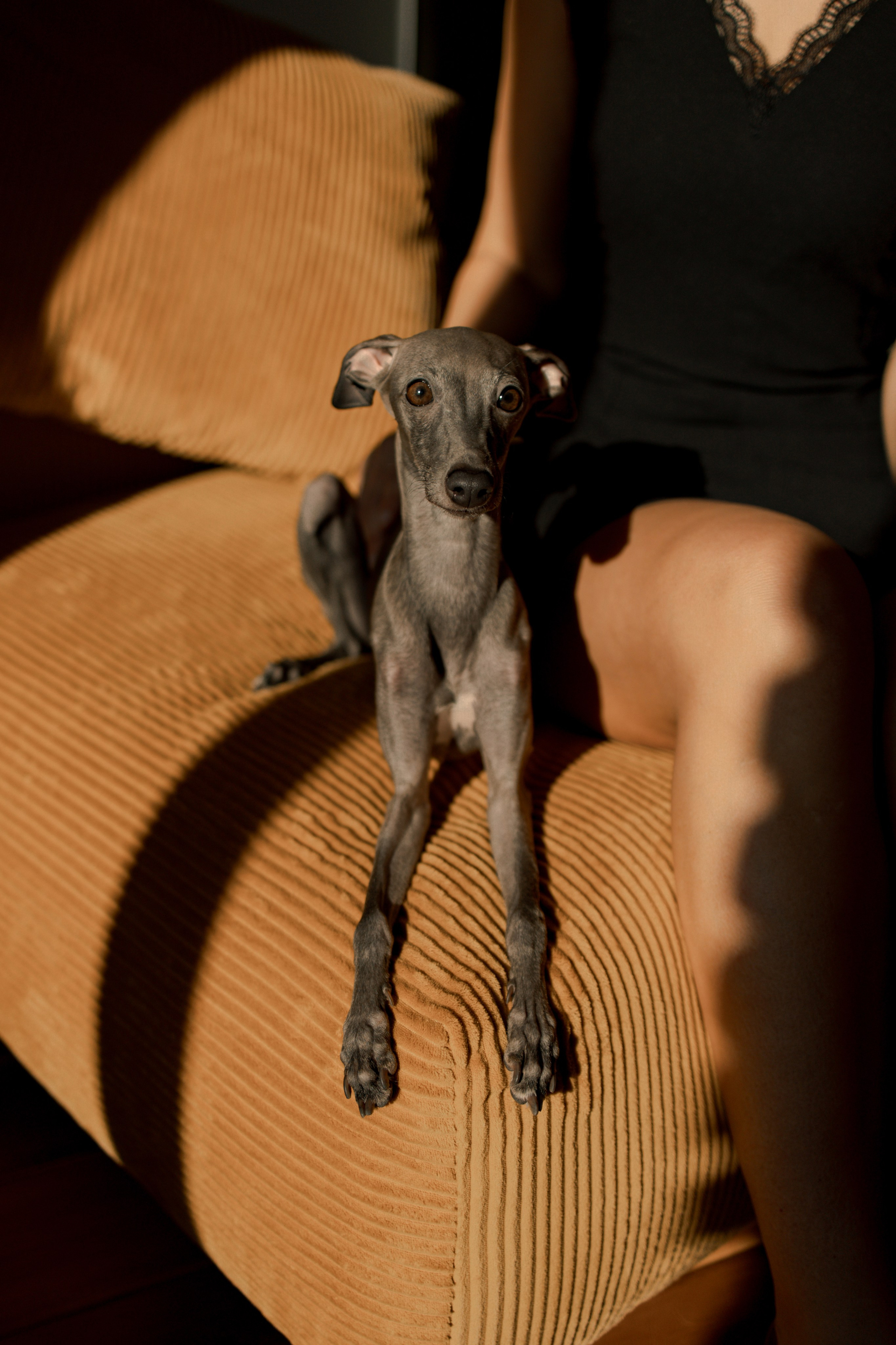 Ксюша и Луна. Фотограф — Анималист | Санкт-Петербург