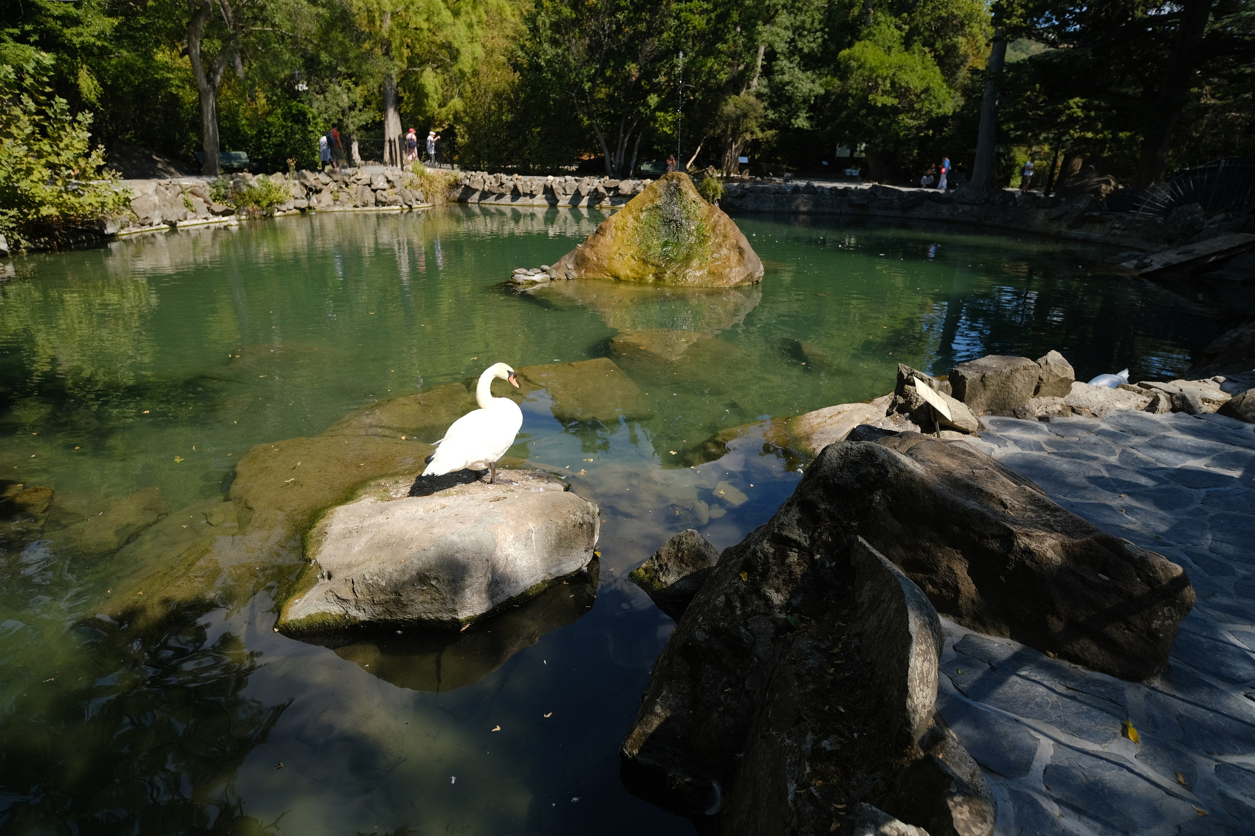 Топ локаций для фотосессии в Крыму - советы от фотографа. Профессиональная фотосъемка в Крыму. Натуральные эмоции и живые кадры. Забронируйте дату прямо сейчас!