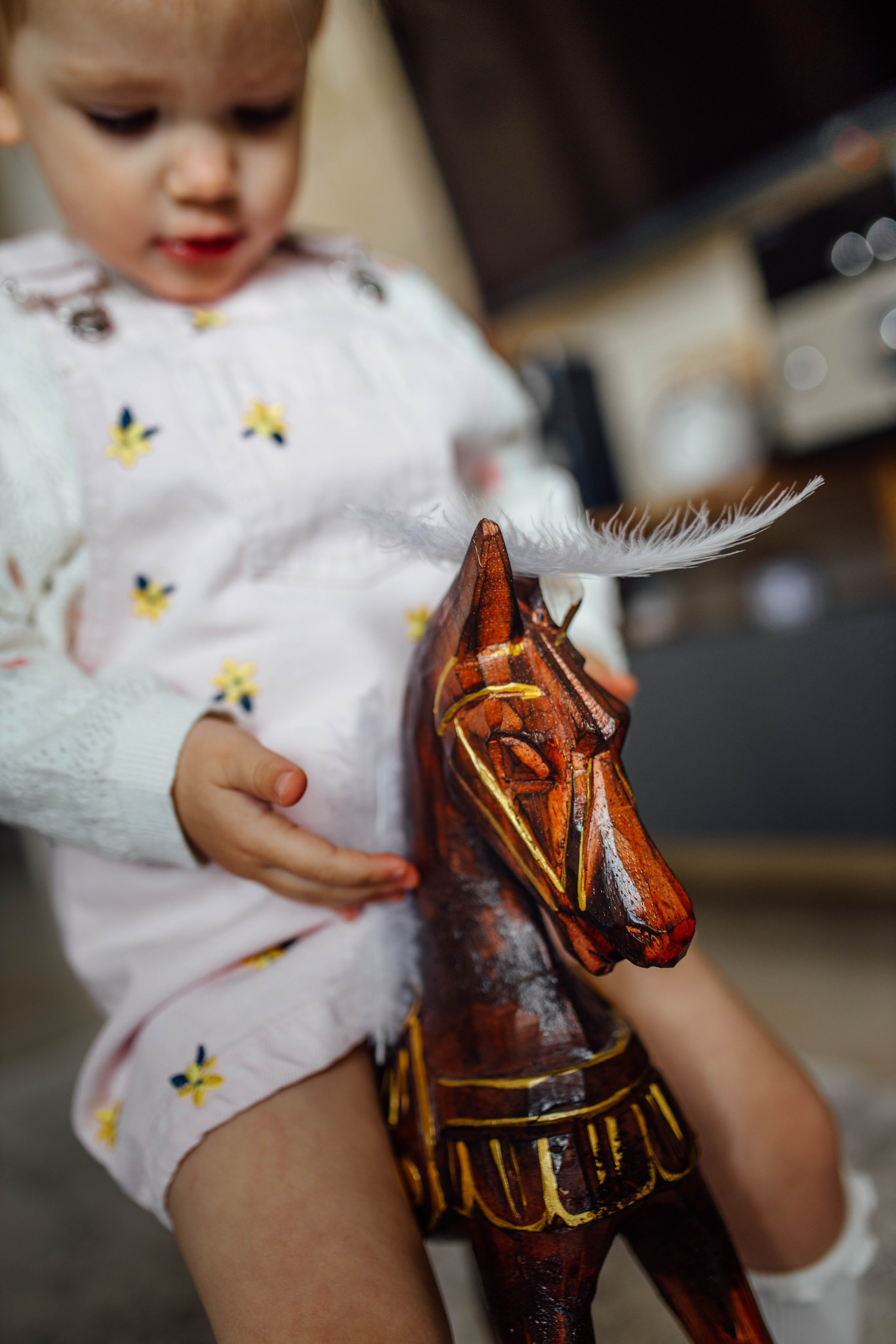 Репортаж дома, др