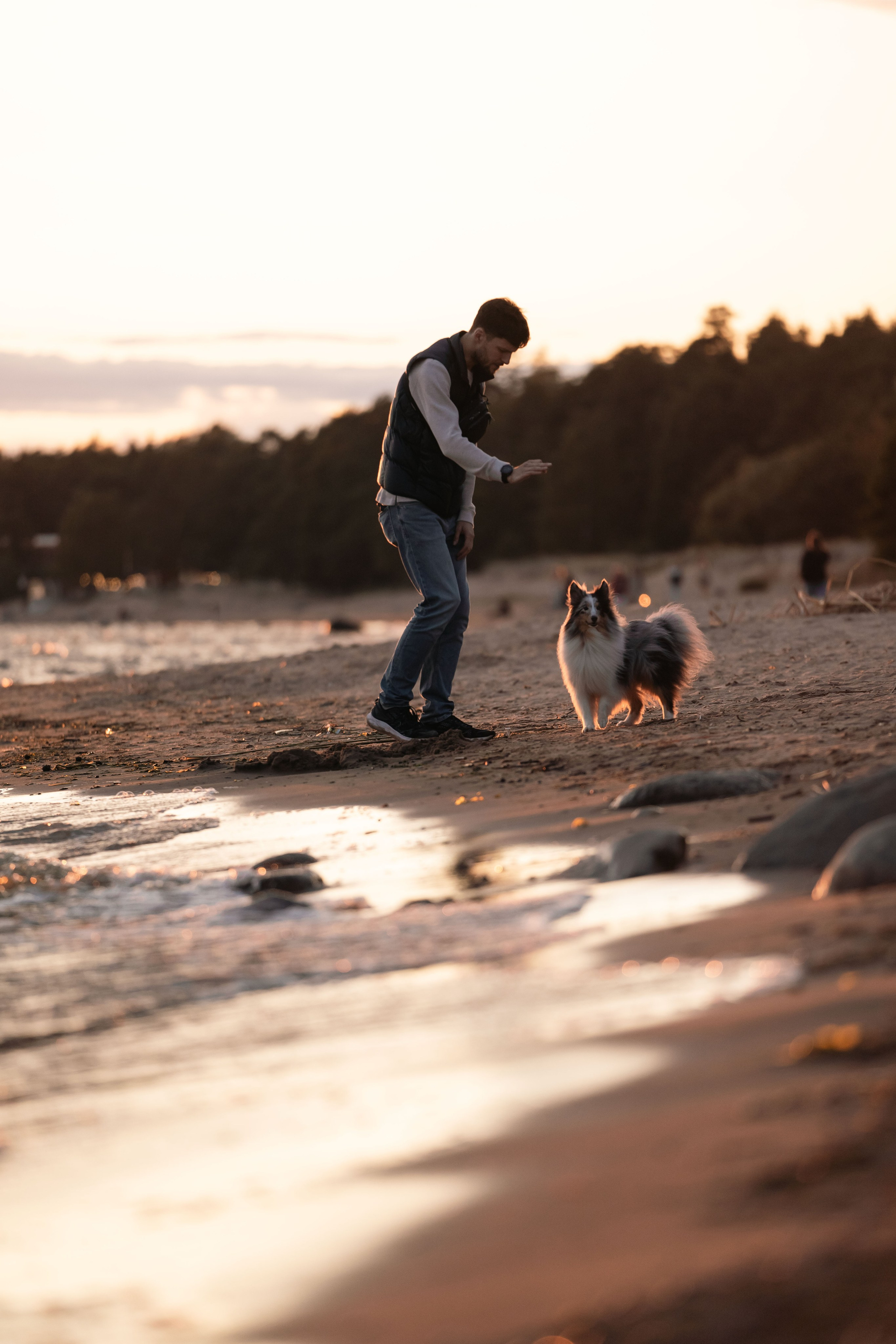 Лесная Элис. Фотограф анималист