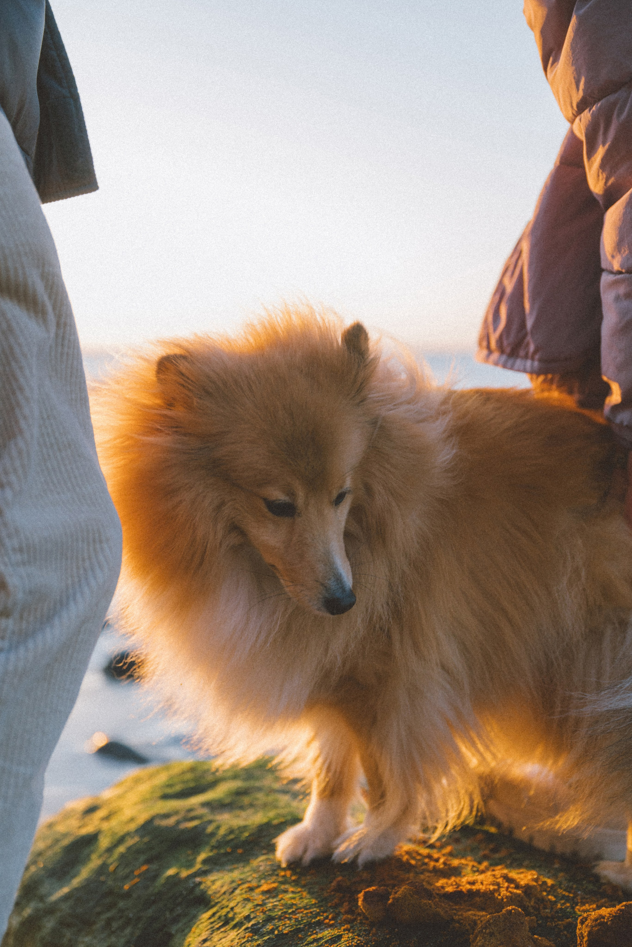 Анна и Артем. Фотограф Калининград Ангелина Воробьева