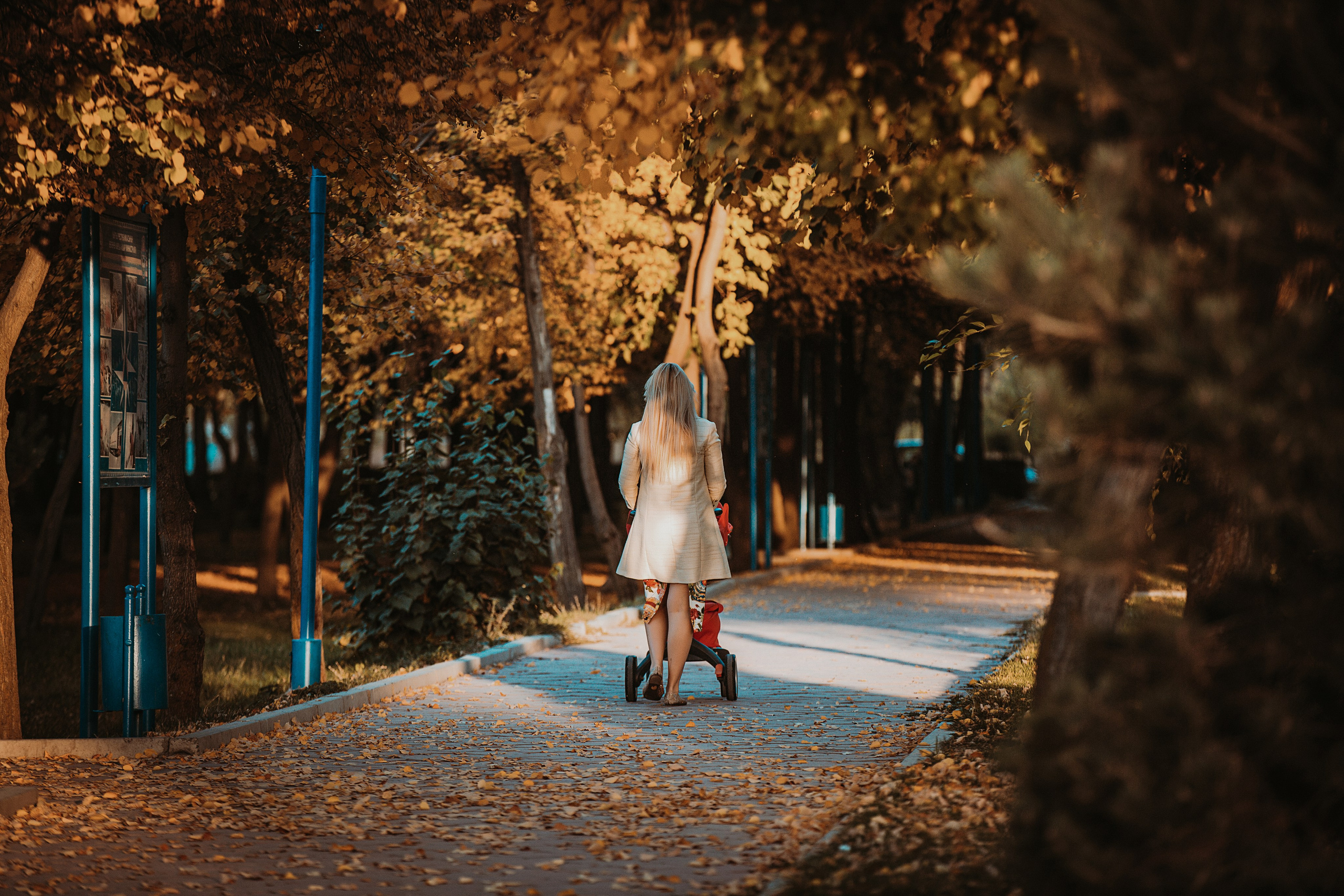 Золотая осень. Свадебный и Семейный Фотограф в Краснодаре