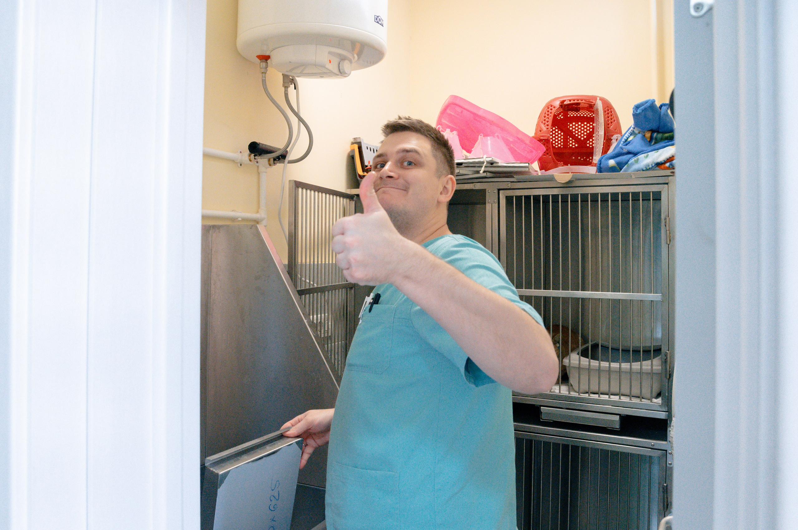 Veterinary clinic «LoyalVet». Art-photographer Ira Wind