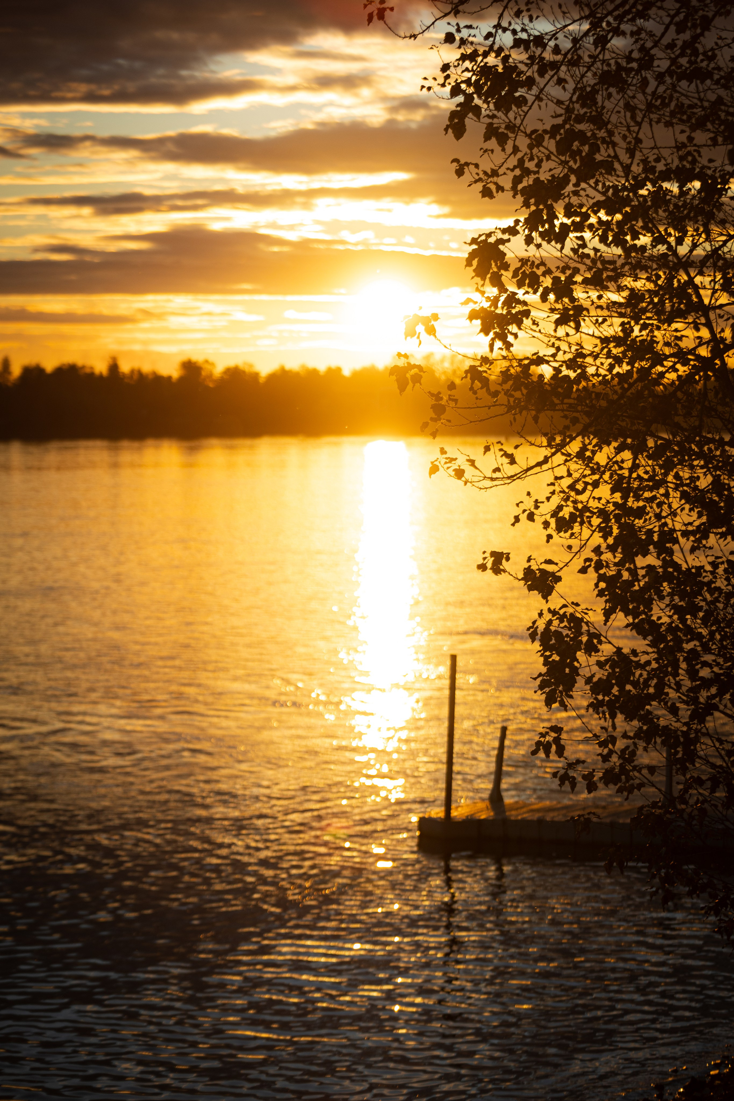 Дмитрий и Валерия. Ваш фотограф — Александра Андрущенко