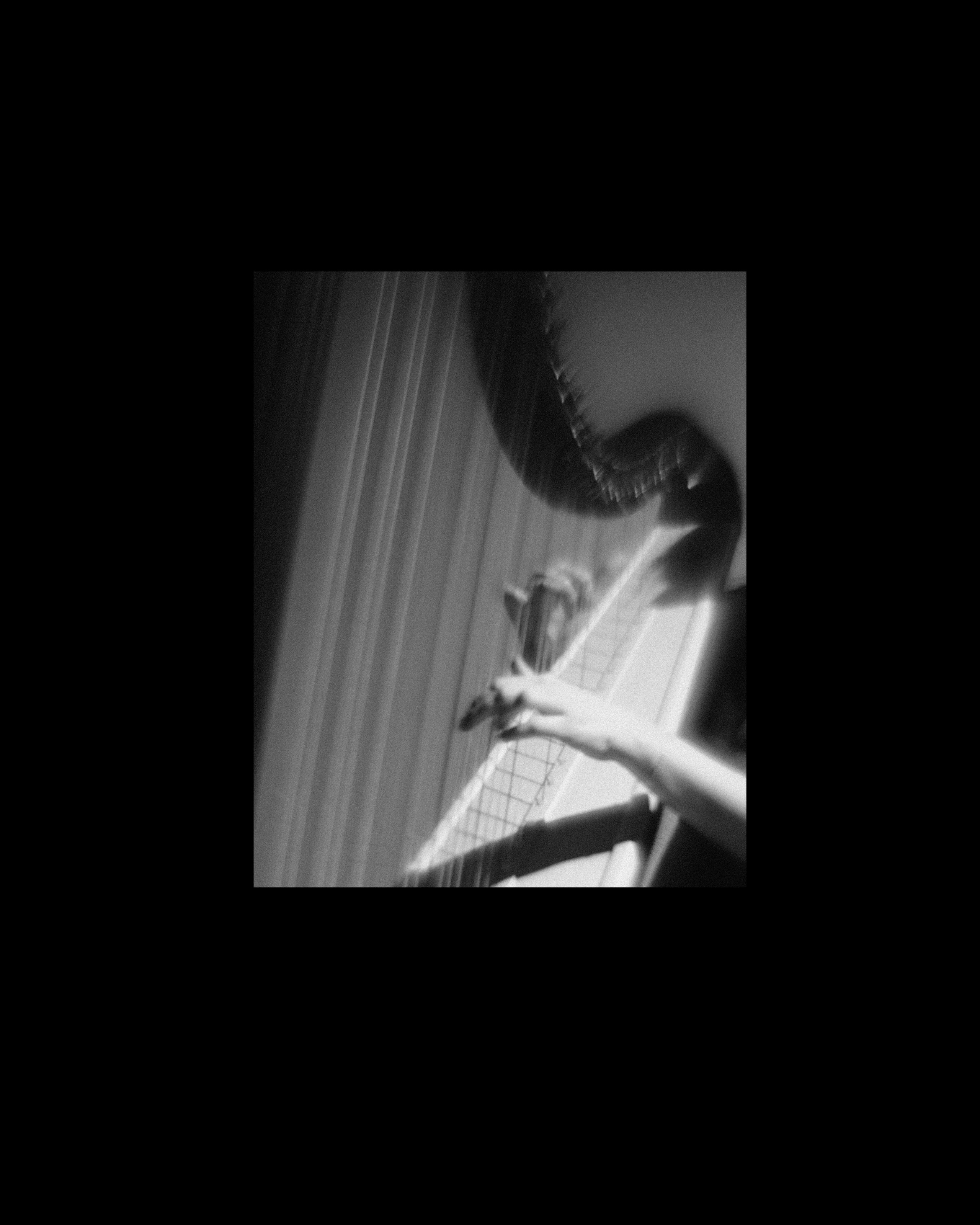 Арфовый дом. Veronika Popadeikina Photographer