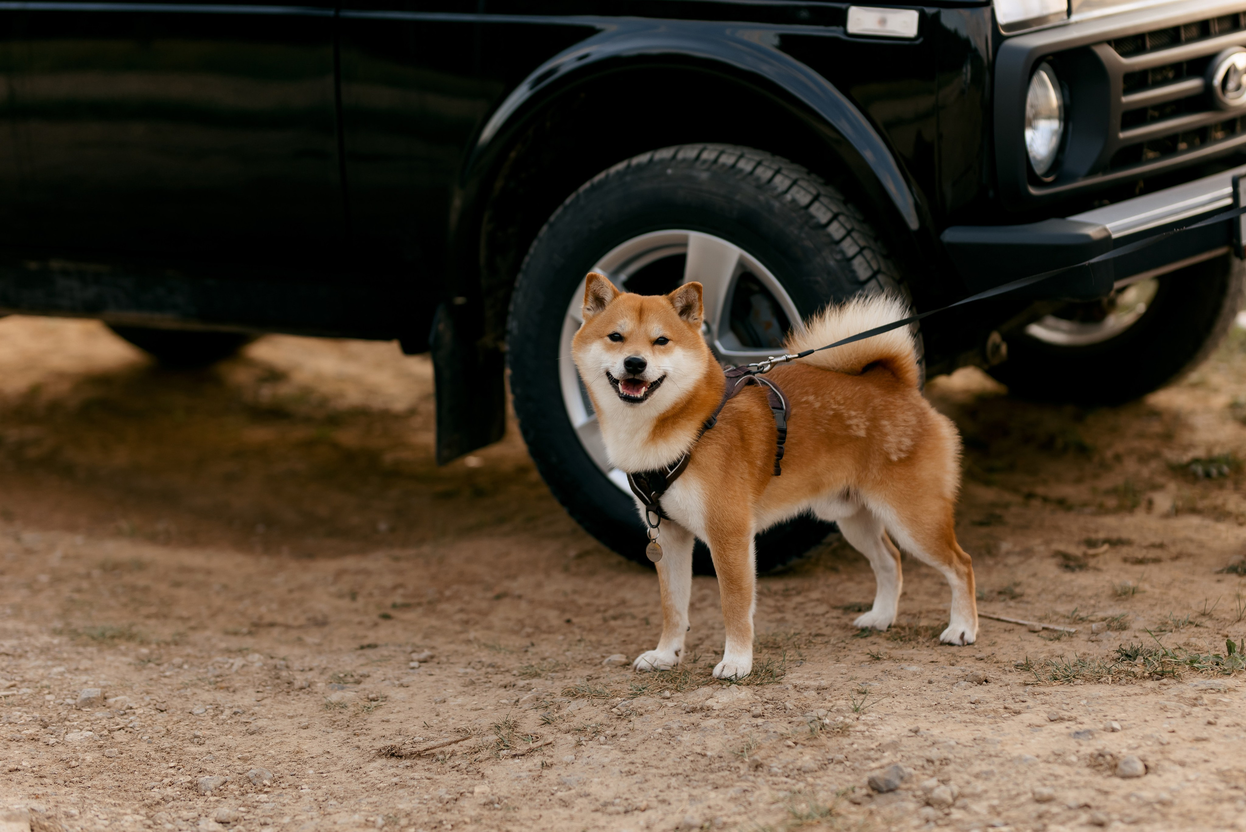 На Демидовском карьере с любовью. Свадебный и семейный фотограф в Туле и области Маша Костина