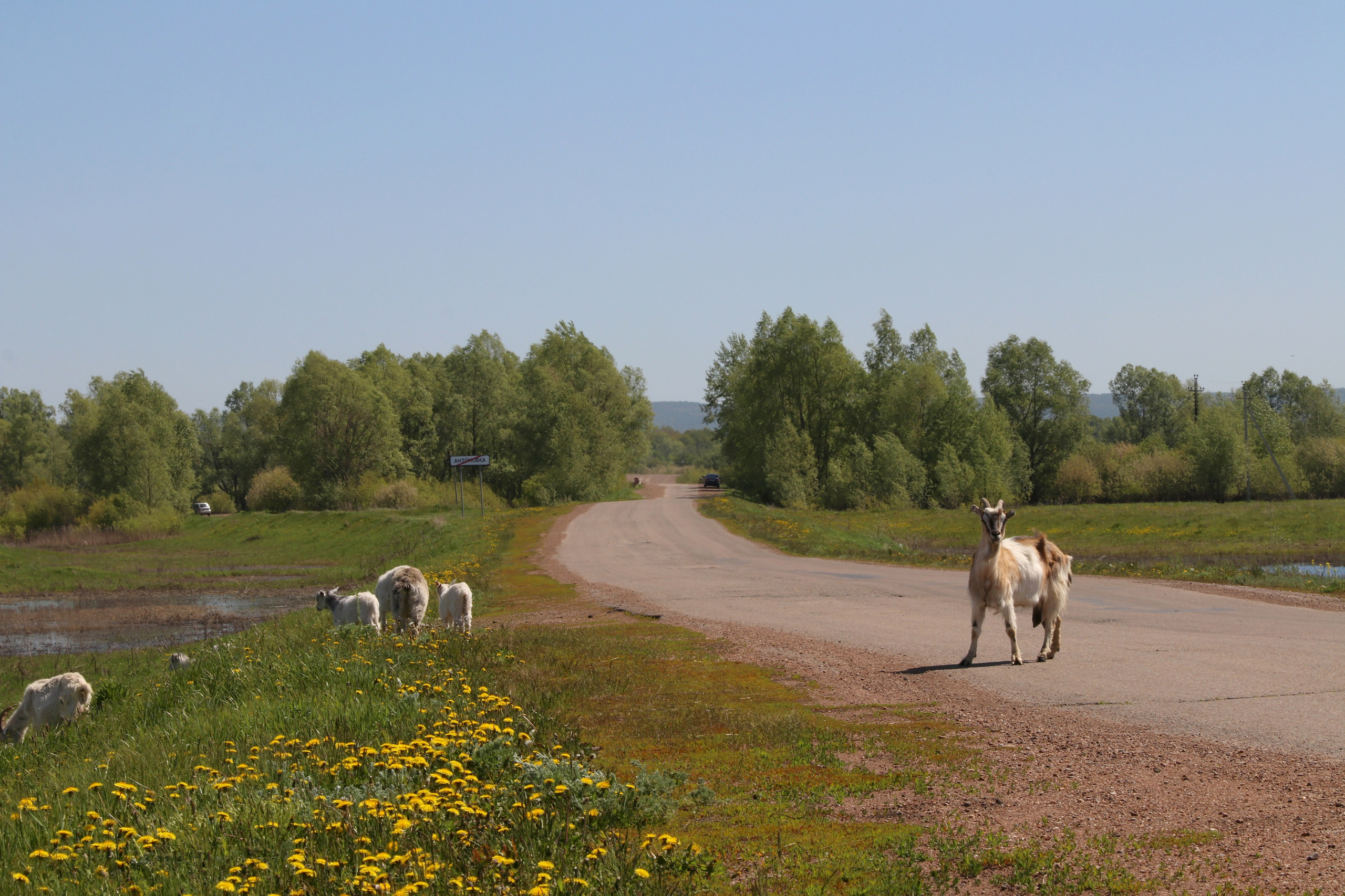 Велопоход Уфа — Мелеуз. Май 2024. Путешественник-фотограф из Санкт-Петербурга Татьяна Свистулина