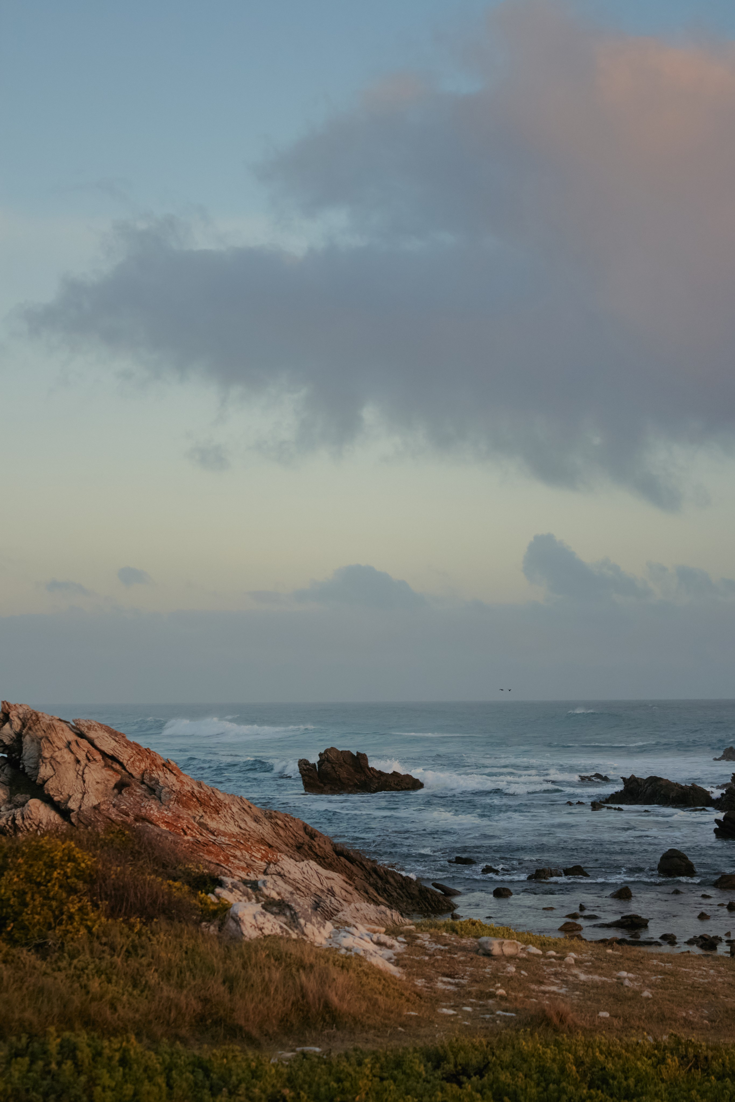 ЮАР. Профессиональный Фотограф во Владимире, в Москве и в Суздале — Полина Романычева