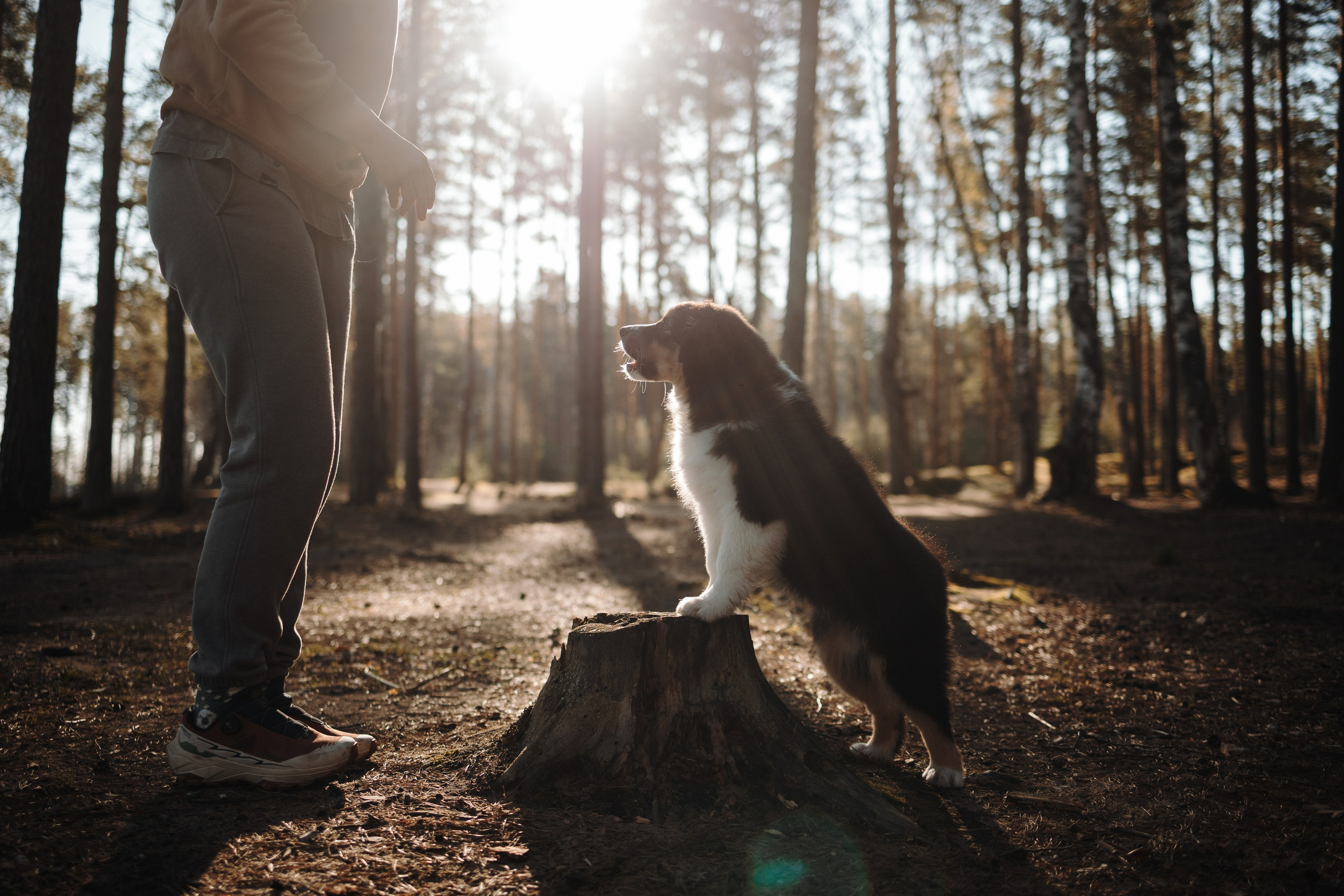 Ира и Шмель. Фотограф — Анималист | Санкт-Петербург