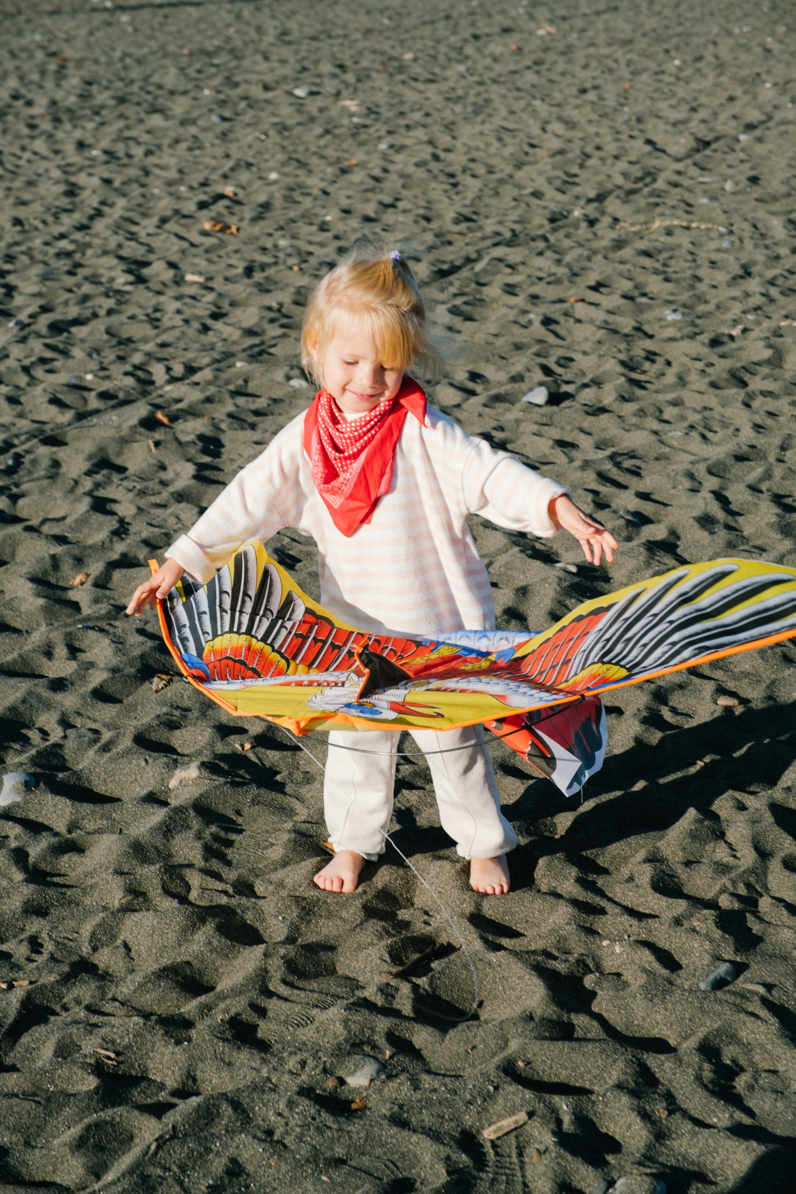 Воздушный змей. Свадебный Видеограф Фотограф в Сочи
