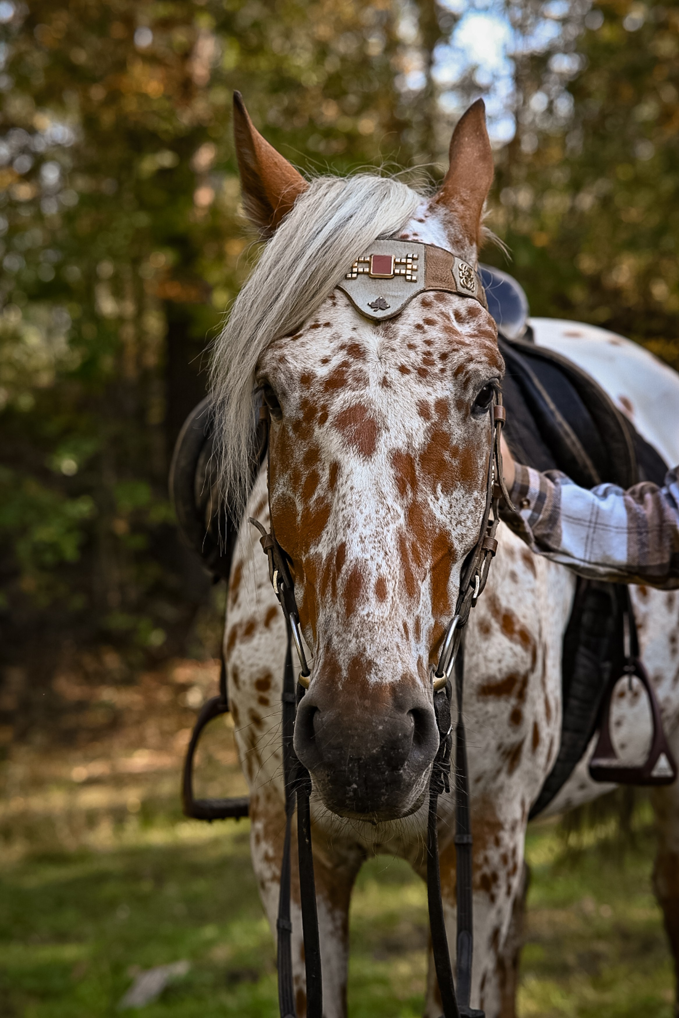 LifeStyle фотограф Анна Воробьёва Санкт-Петербург