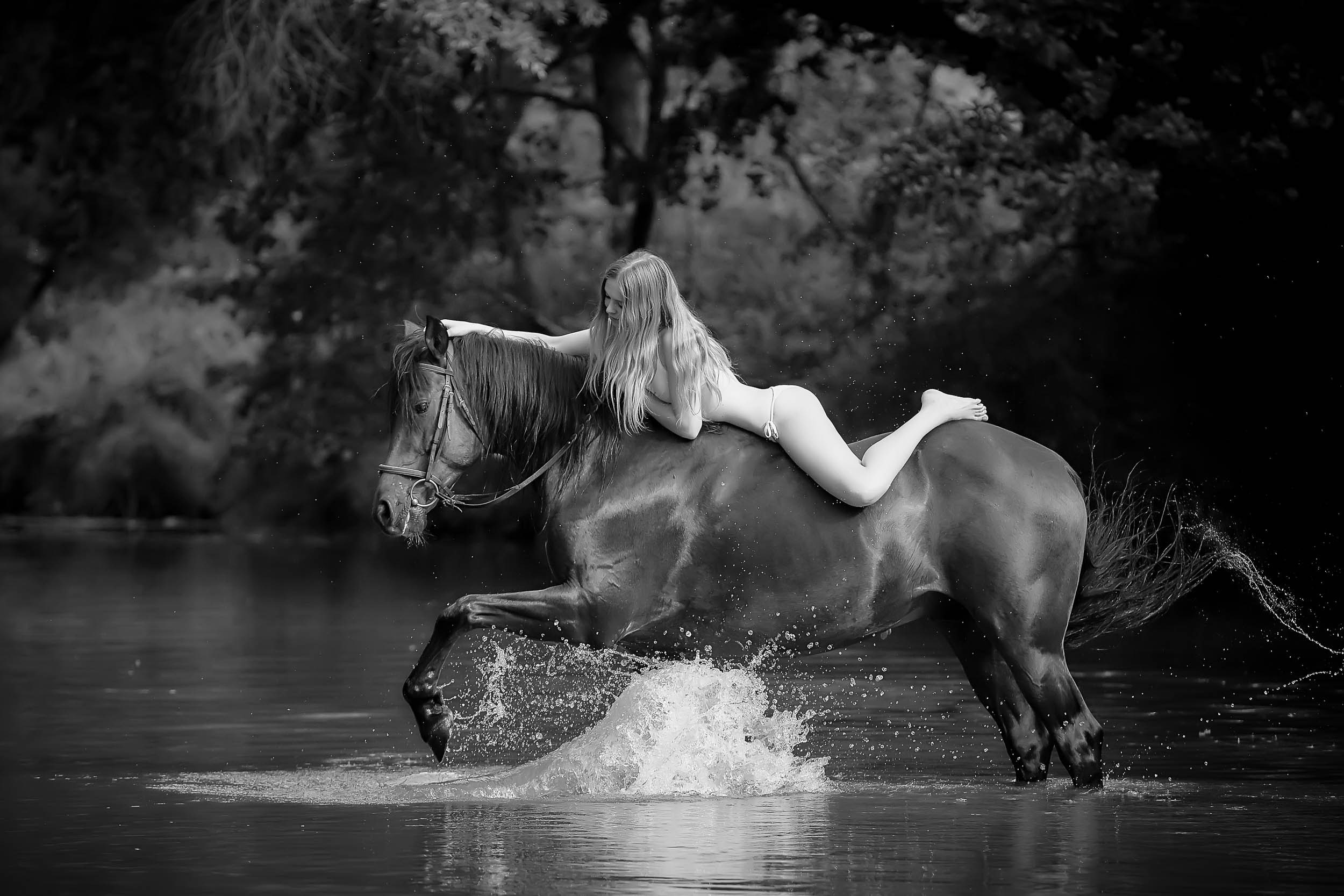 Фотопроекты и съемки на природе, с лошадьми, самолетами и авто. Выездная фотосессия. Фотограф, фотопроекты Михаила Семенова в Ярославле. Фотошкола