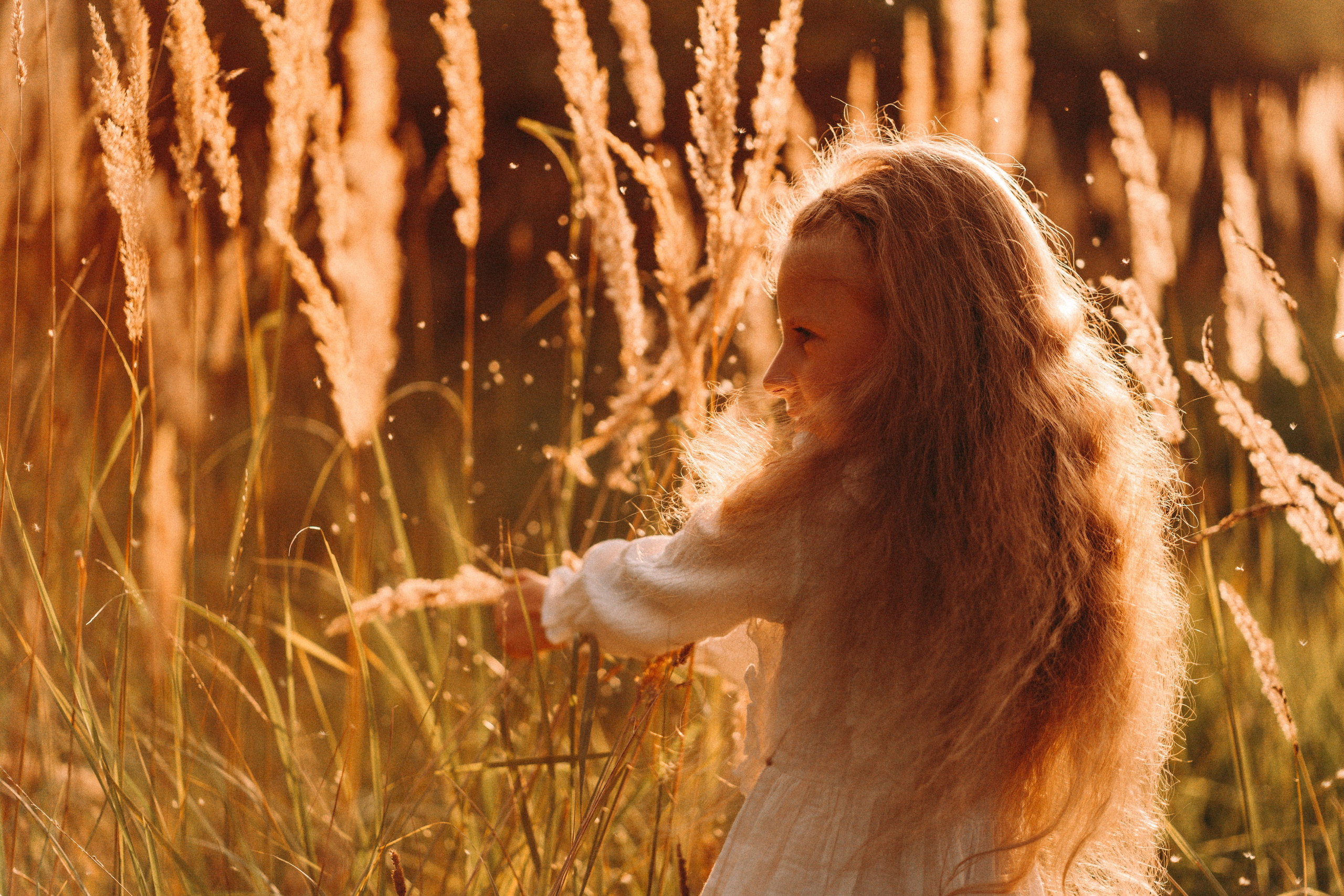 Летнее золото в волосах. Главная