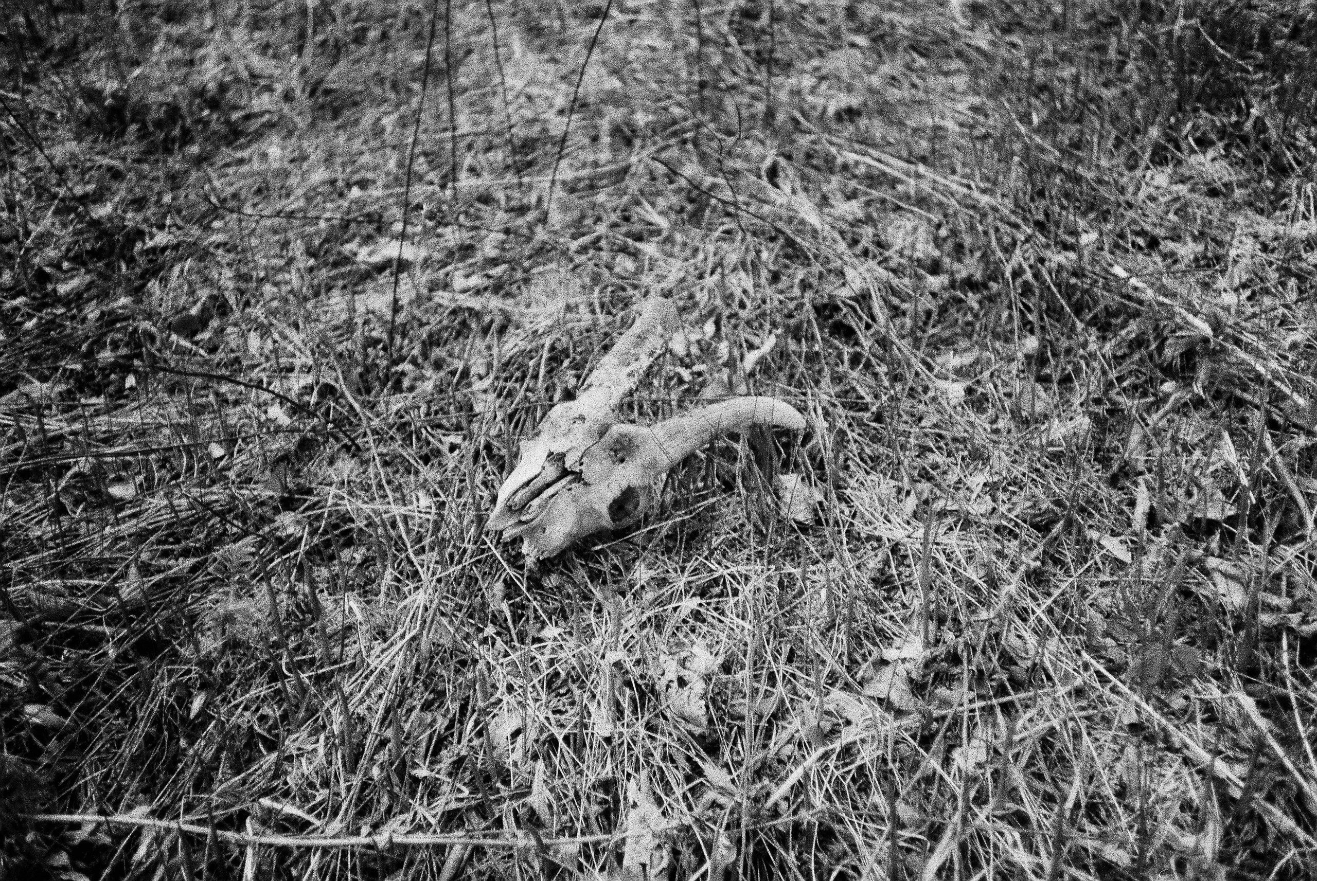 Окраины. Works