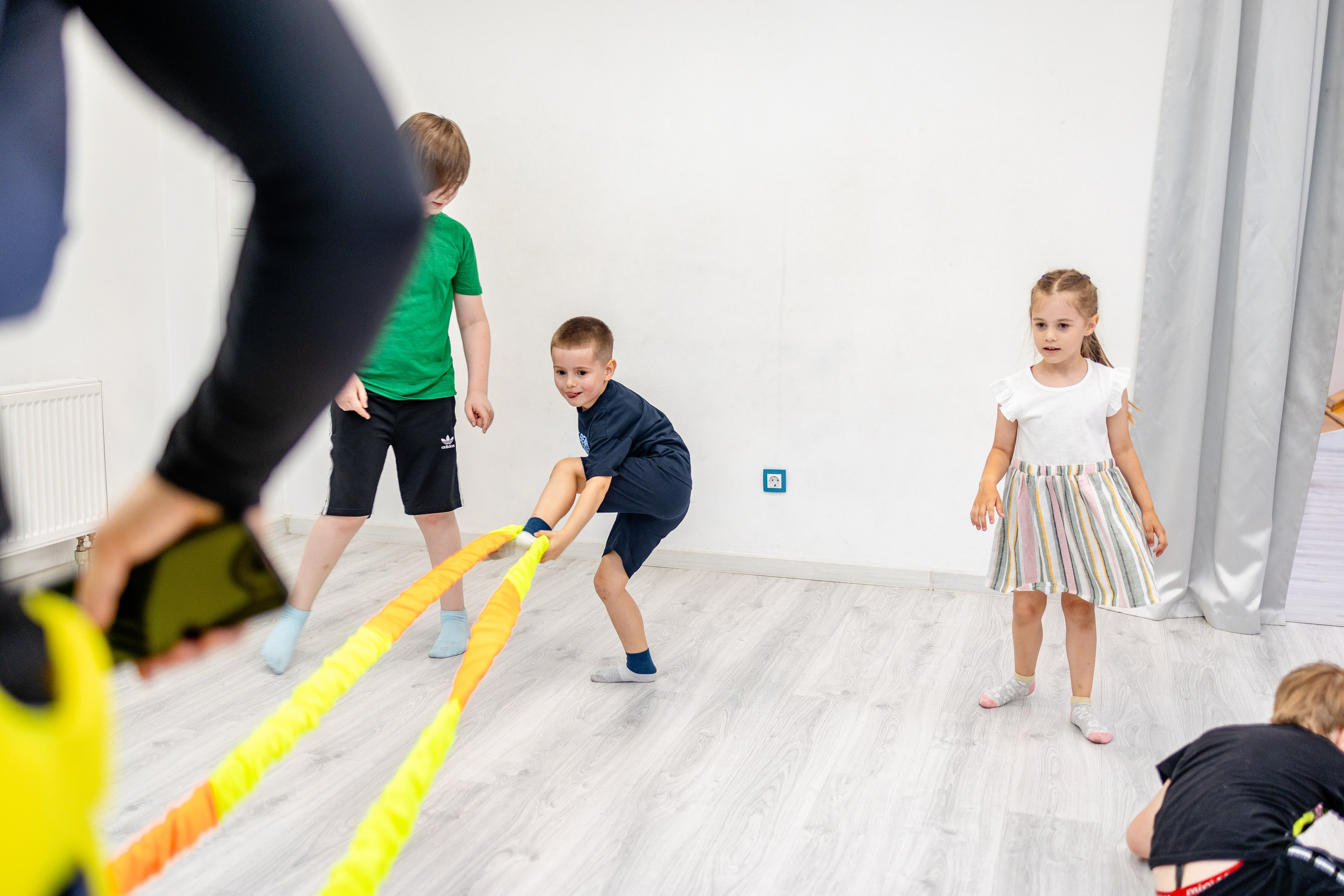 Авокадо. Фотограф Елена Медок Калининград