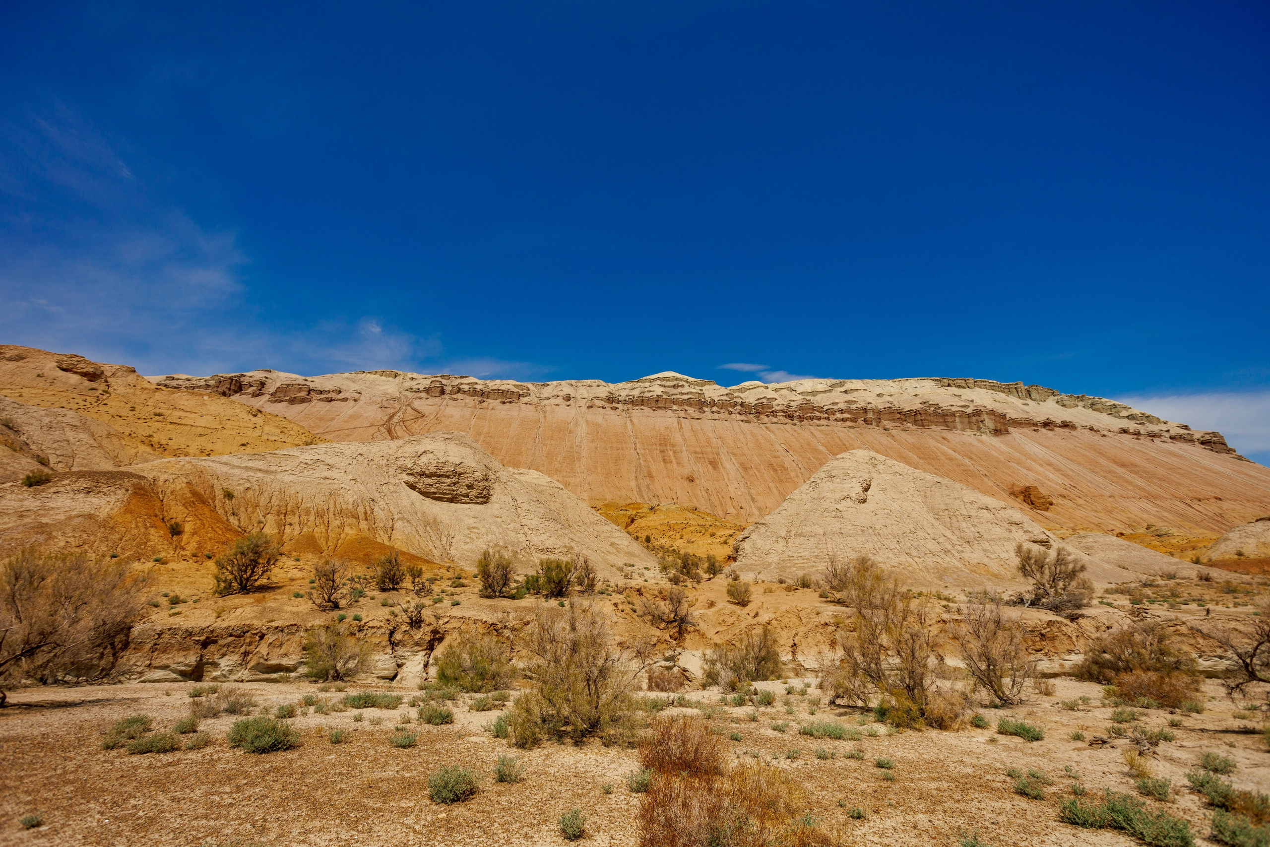 Алтын Эмель. Экскурсии и туры по Алматы
