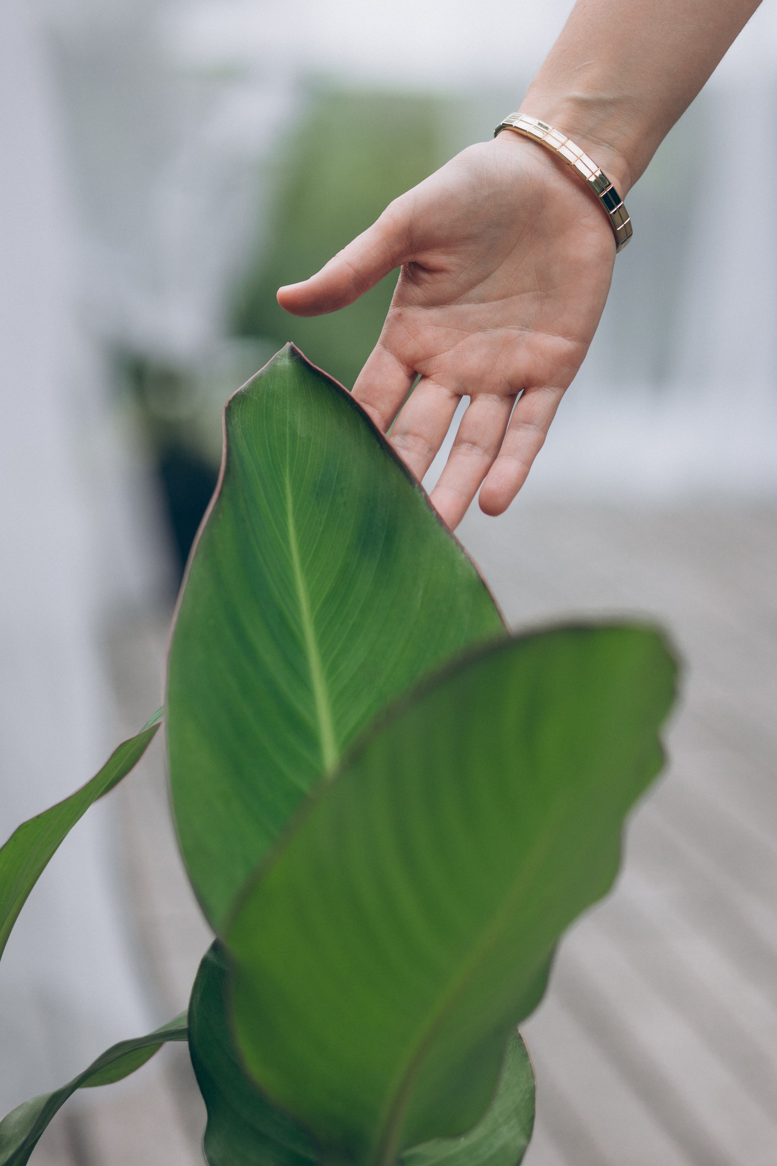 Контент для гипнотерапевта. Семейный и свадебный фотограф Брянск, Москва Ольга Ли