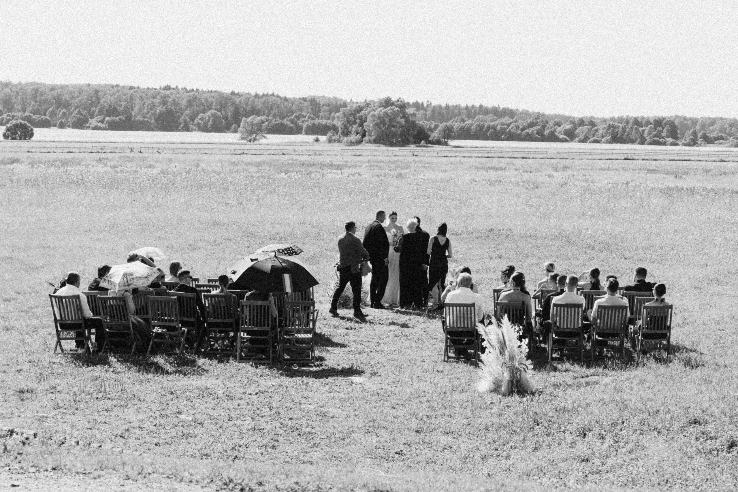 Котики. Свадебный фотограф Наташа Алешина