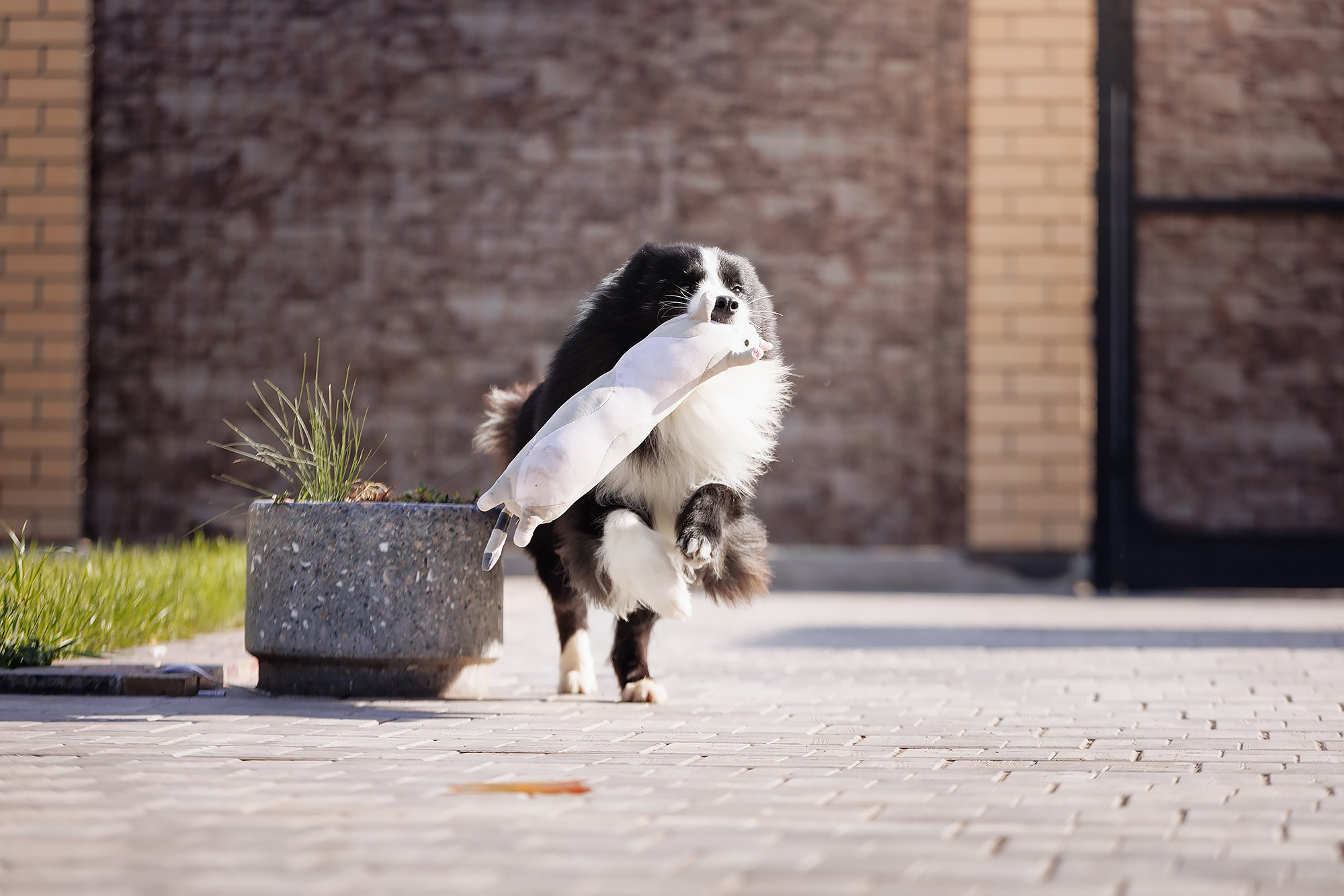 Трава у дома. О нас