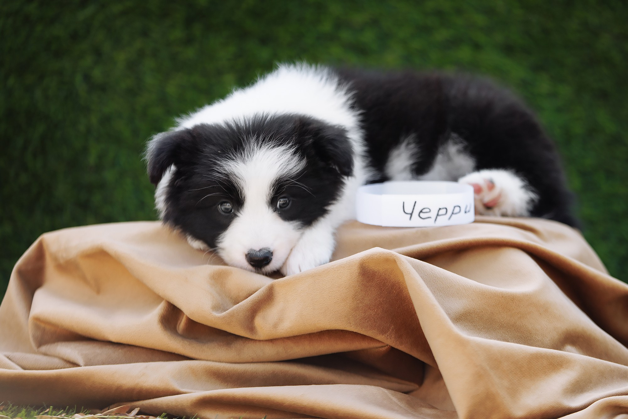 Новый лист. О нас