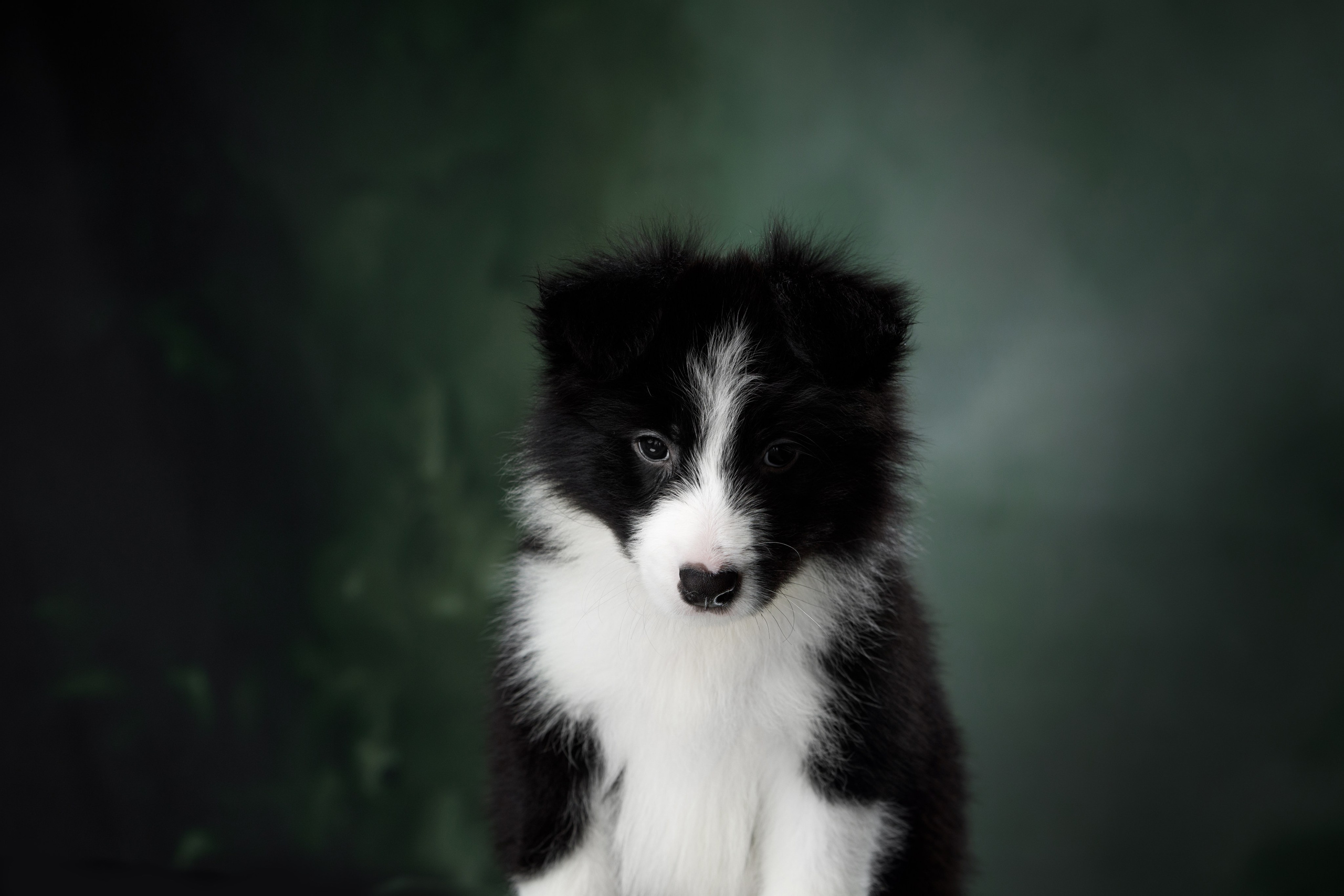 Март. Весна. 22. О нас