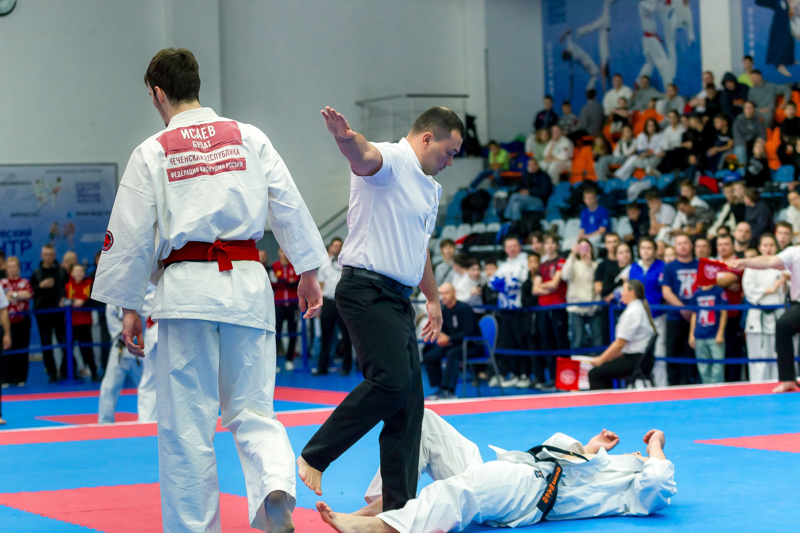 Соревнования по Киокушин памяти С. Увицкого. Репортажная съемка в Москве и области. Анималистика