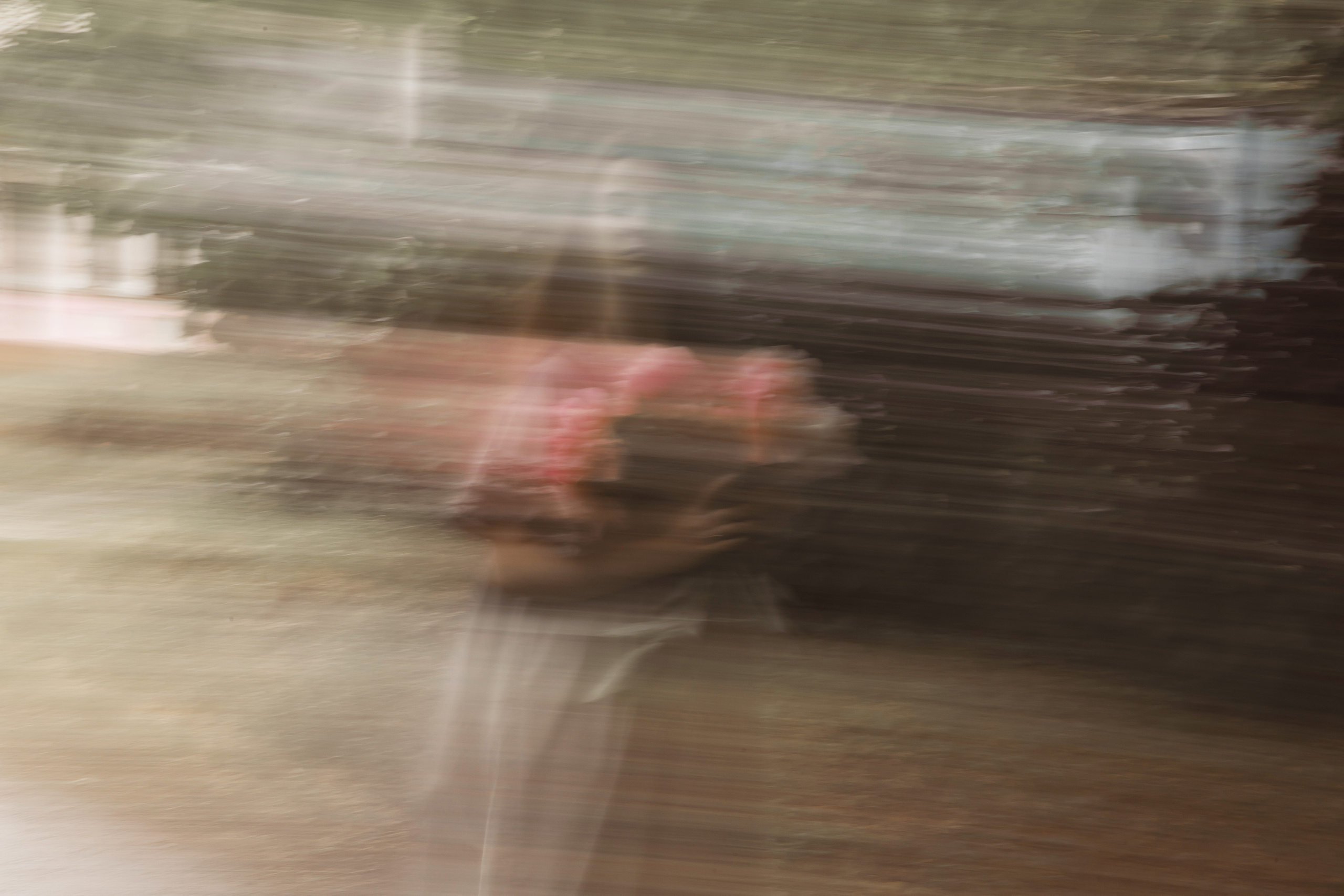 Пионы. Свадебный фотограф, крещение, венчание СПБ, Белгород Анна Коршунова