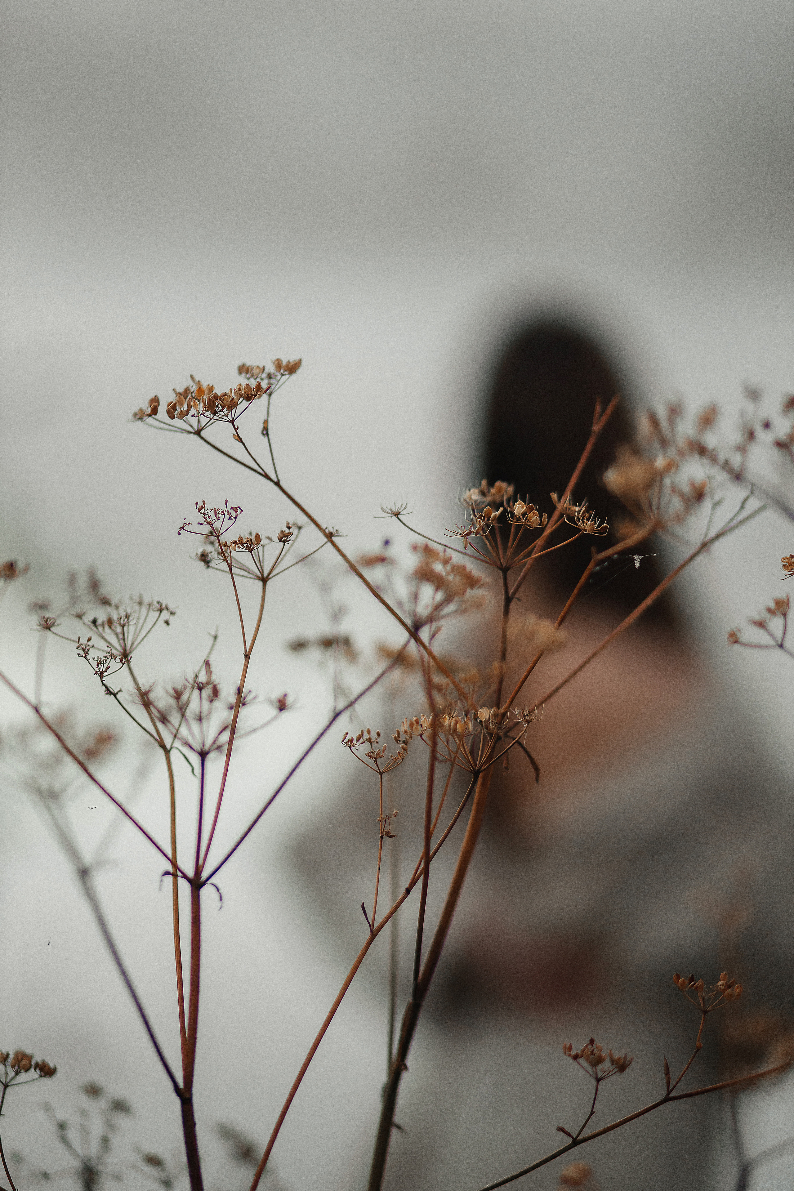 Лотосы. Свадебный фотограф, крещение, венчание СПБ, Белгород Анна Коршунова