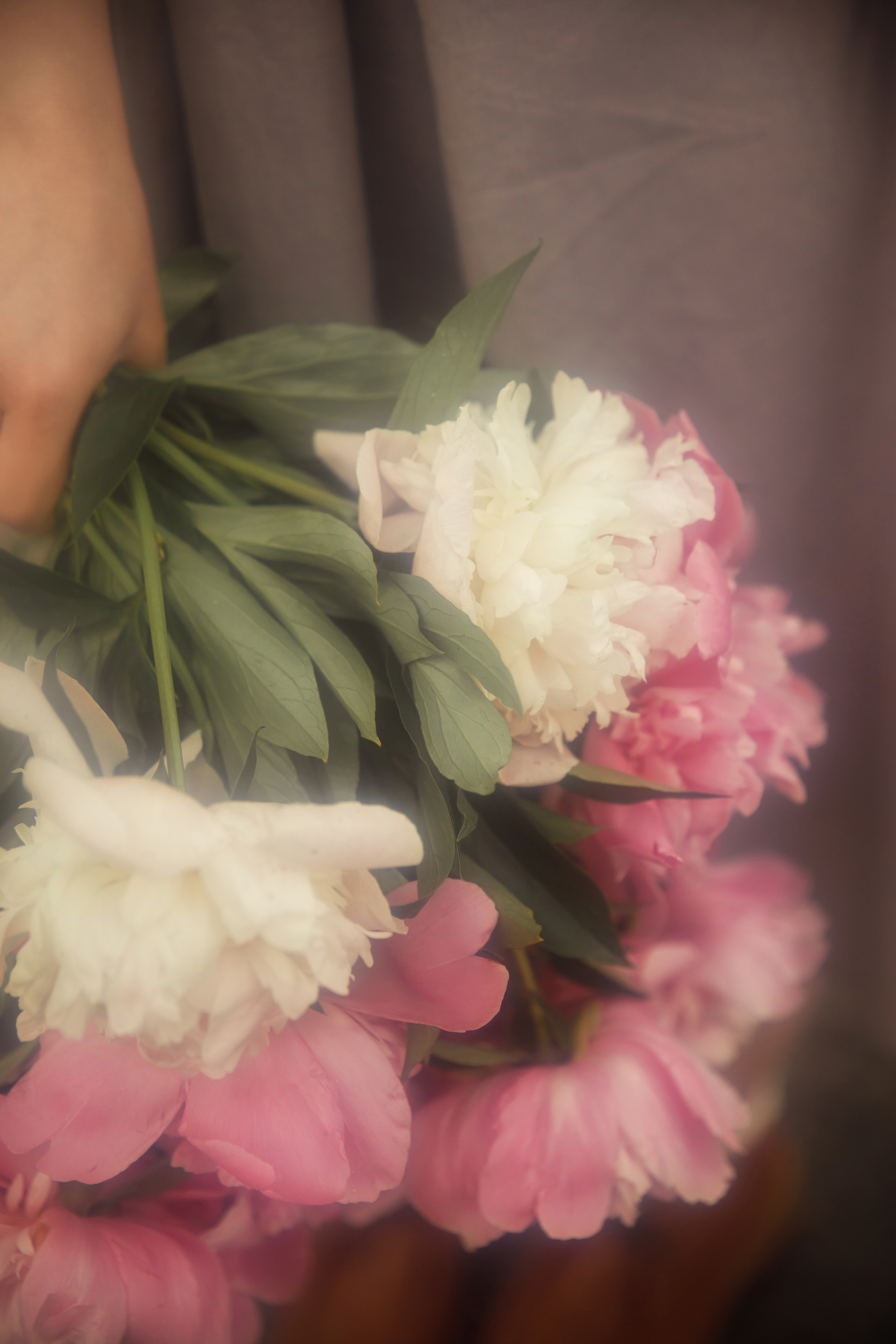 Пионы. Свадебный фотограф, крещение, венчание СПБ, Белгород Анна Коршунова