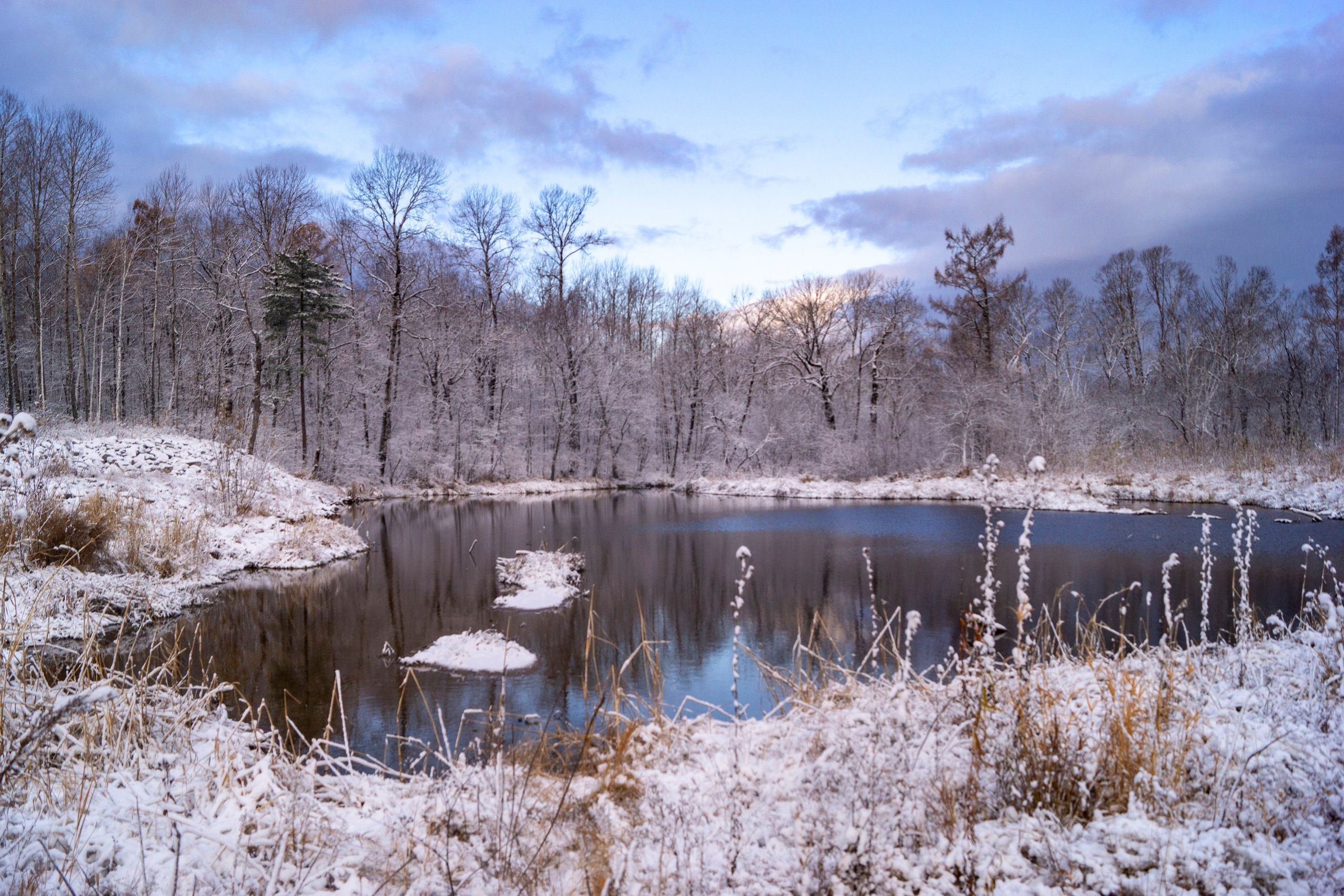 Природа Хабаровского края. Команда фотографов Кристины Ивановой