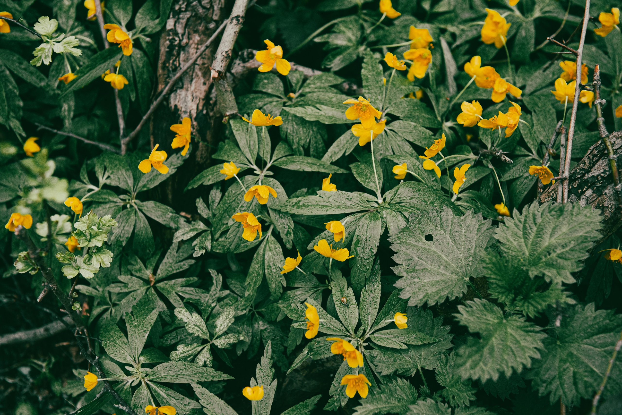 Текстуры апреля. Портретный и архитектурный фотограф в Москве и Санкт-Петербурге