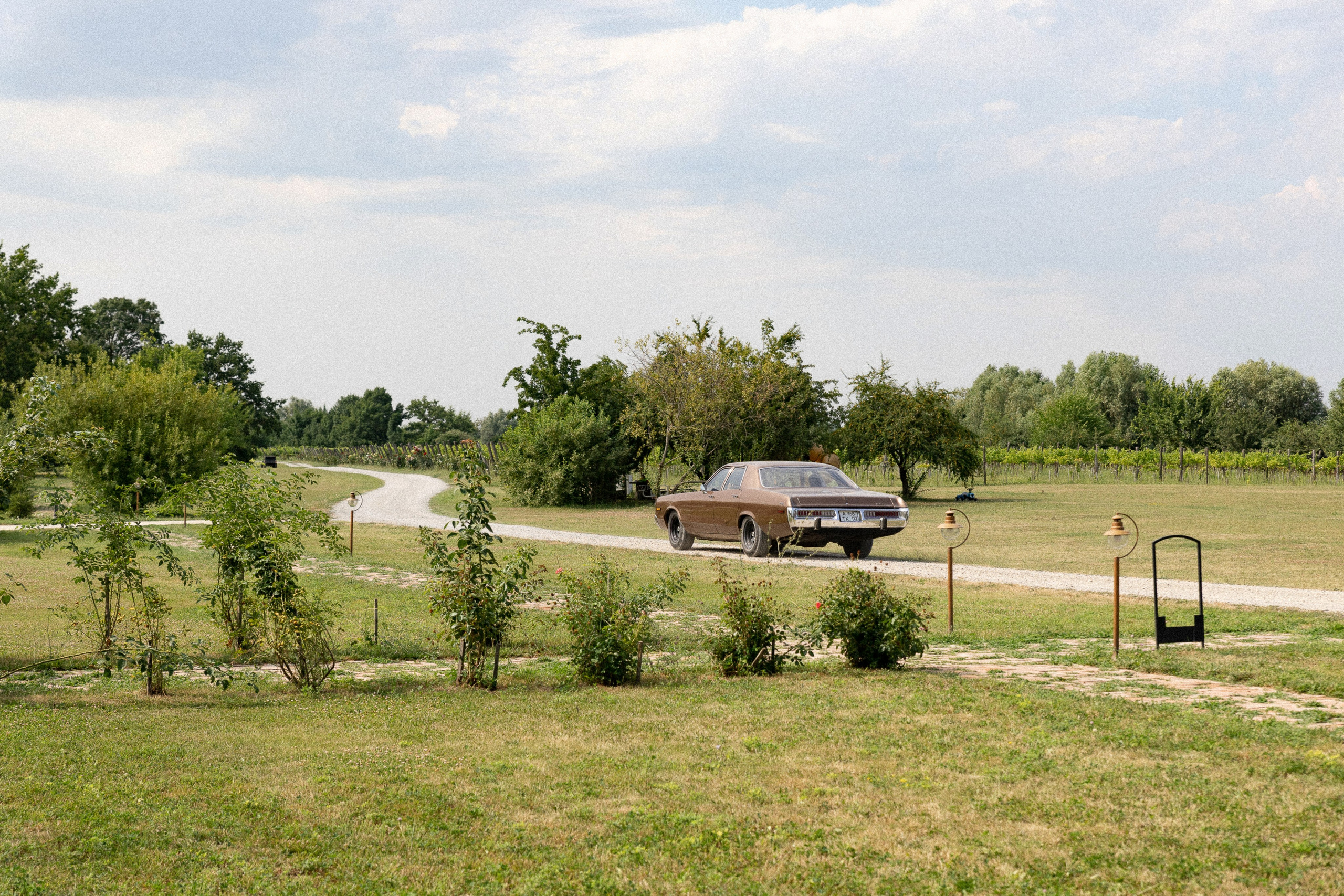 Владислав и Наталья. Свадебный фотограф
