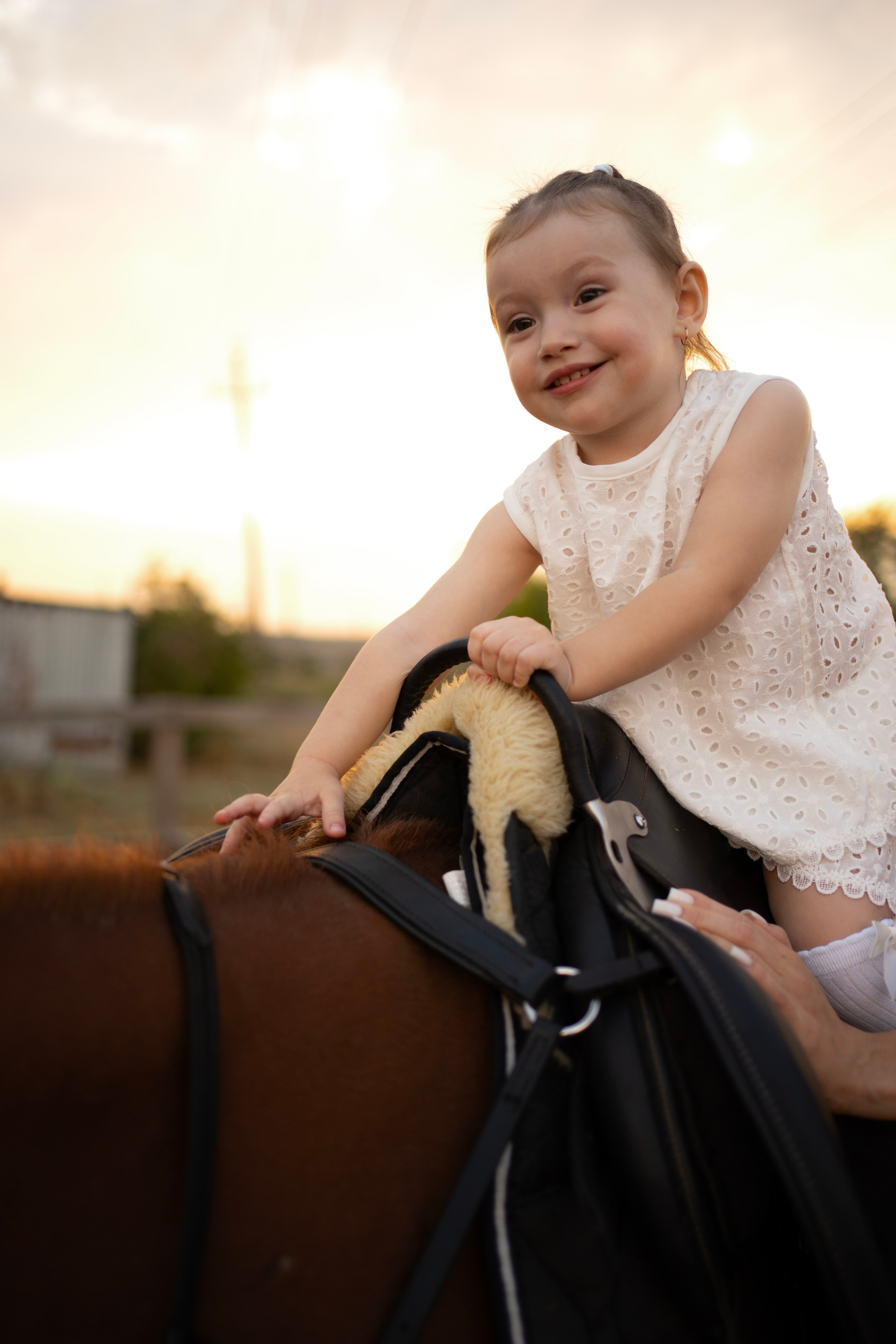 Семейная. Фотограф Новошахтинск|Ростов, Дарья Секрий