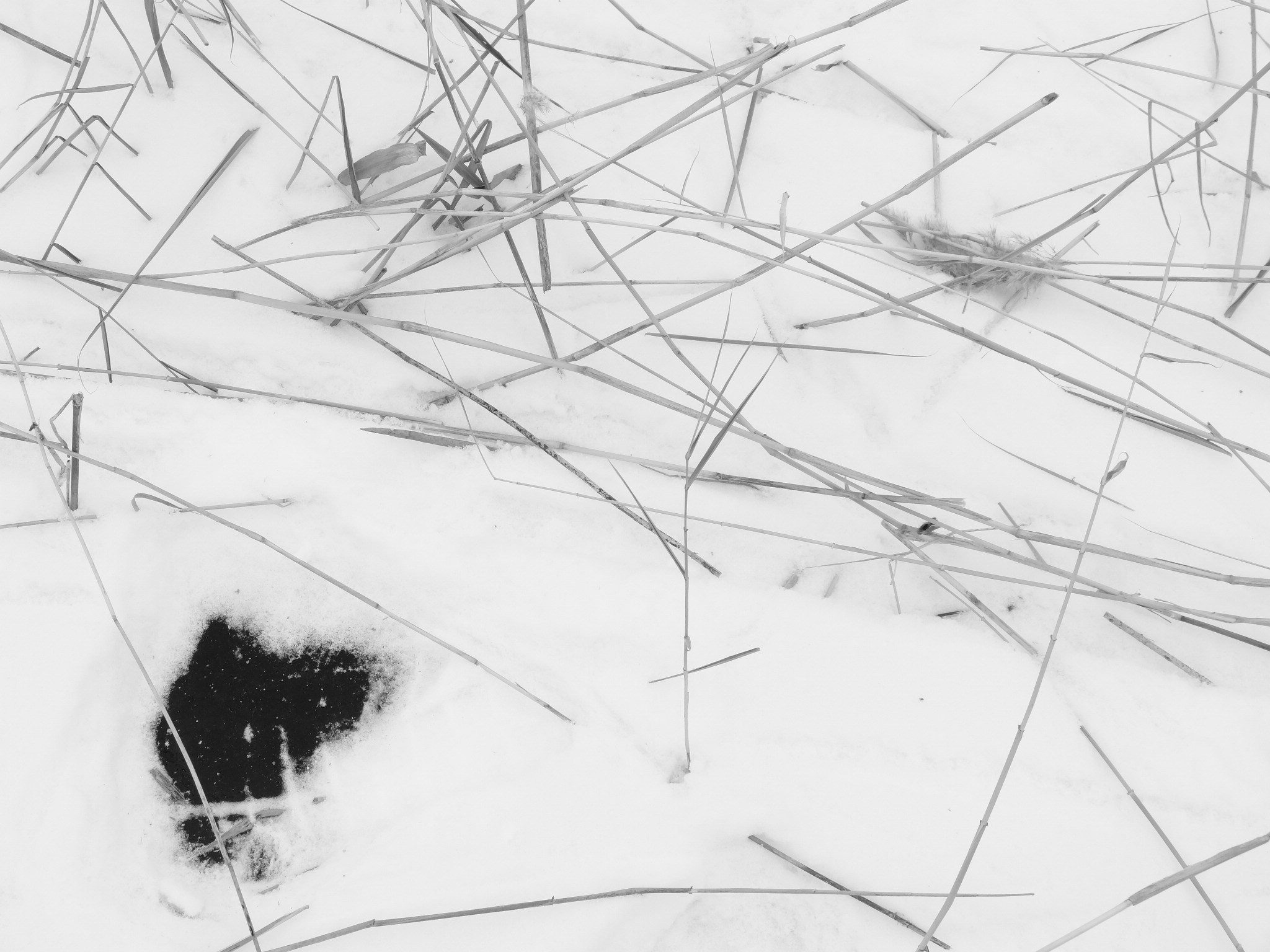 Внутривенные сны (2018-2023)