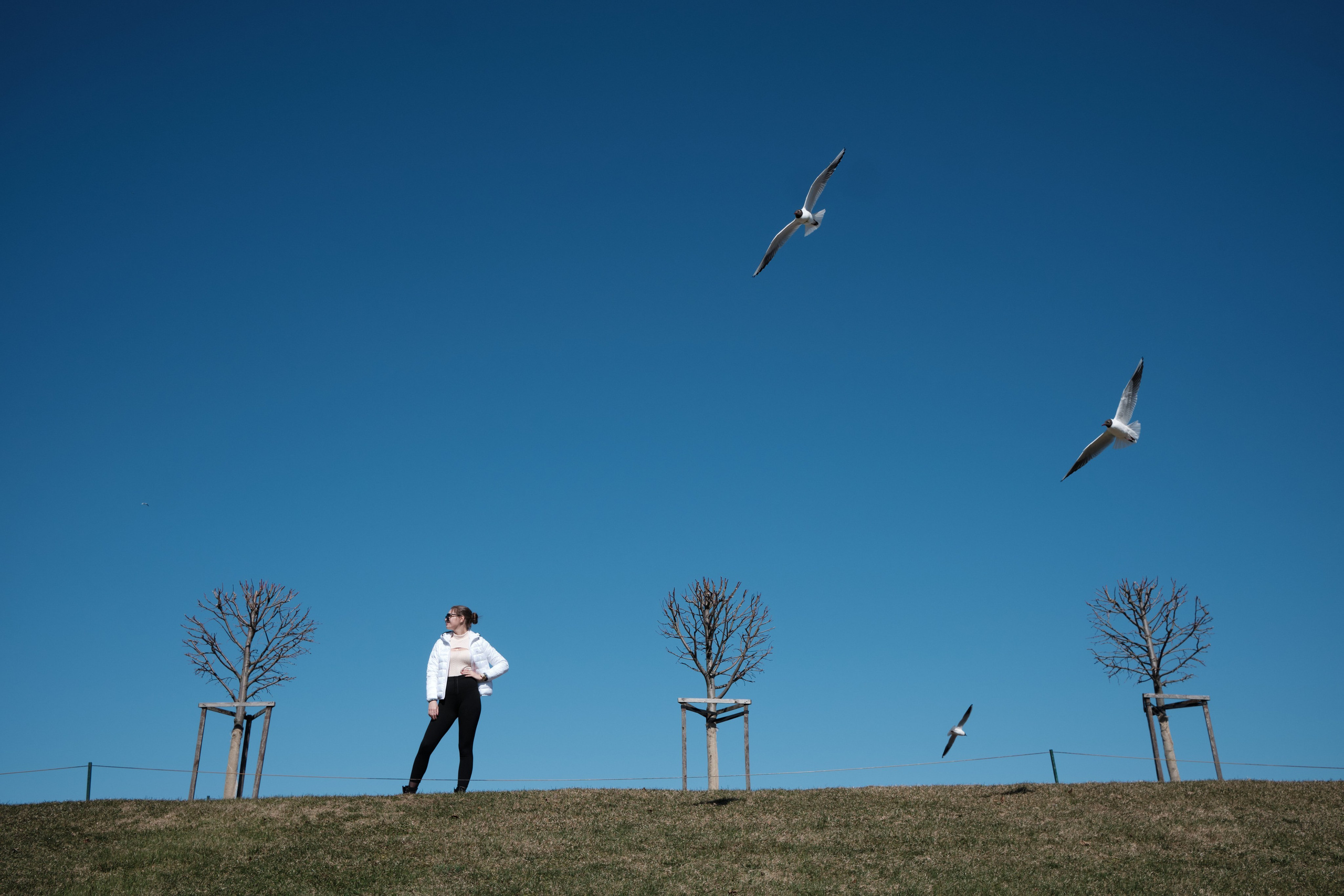 Алина. Фотограф Санкт-Петербург