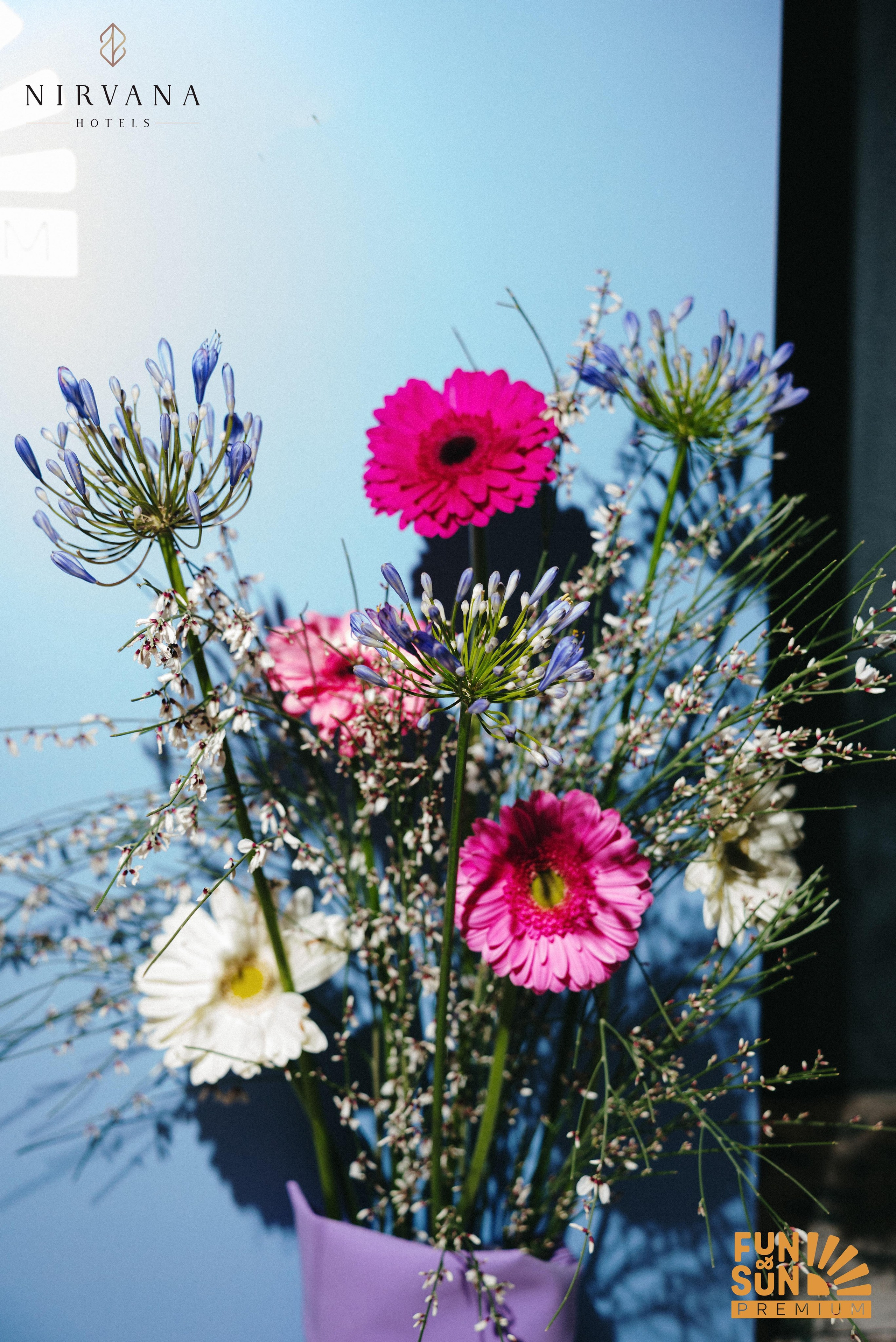 Nirvana hotels / FUN&SUN бранч — презентация. Фотограф в Минске