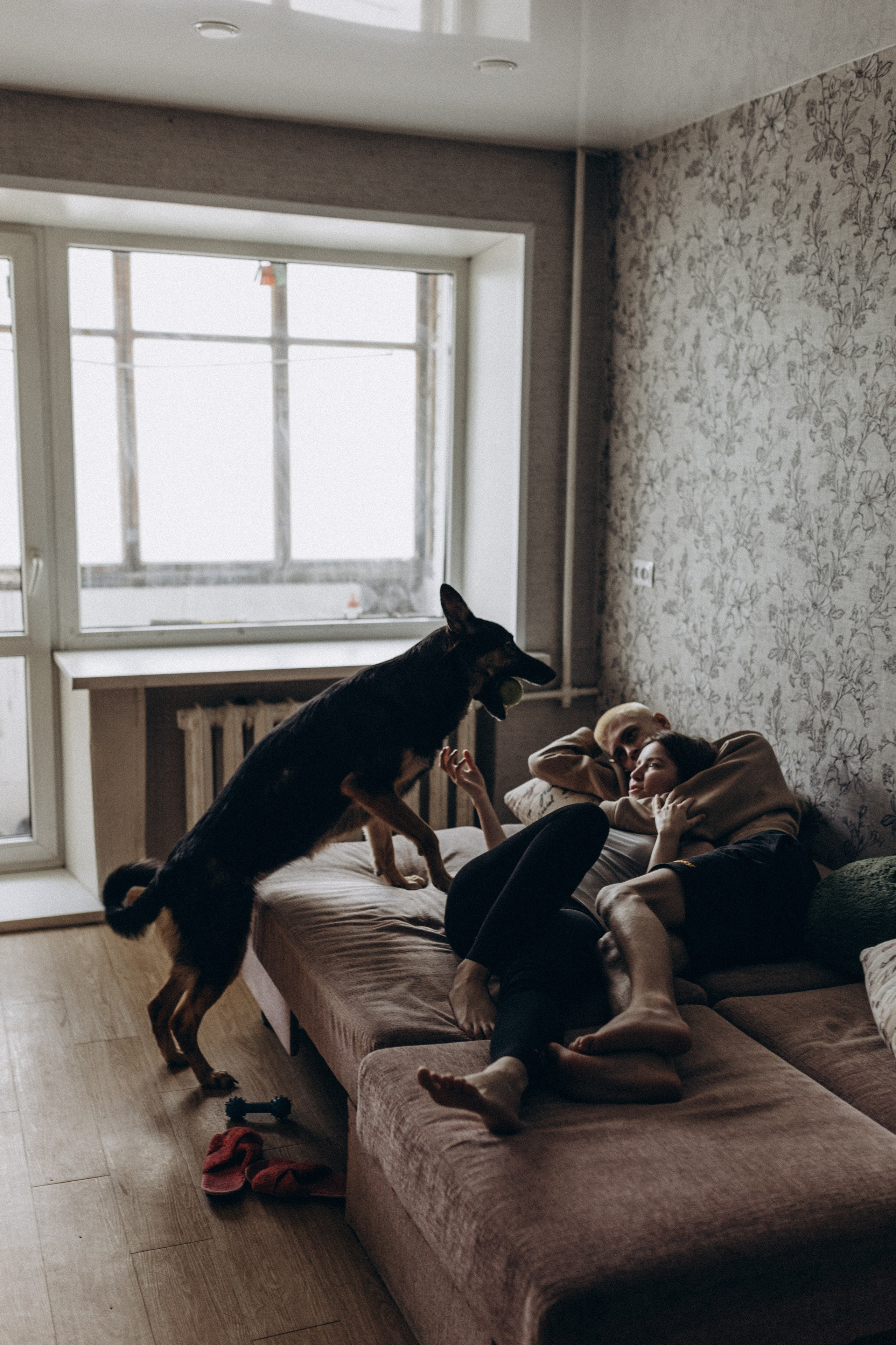 Матвей и Полина, а также кот и собака. Семейный фотограф lifestyle в Новосибирске Елена Шпилевая