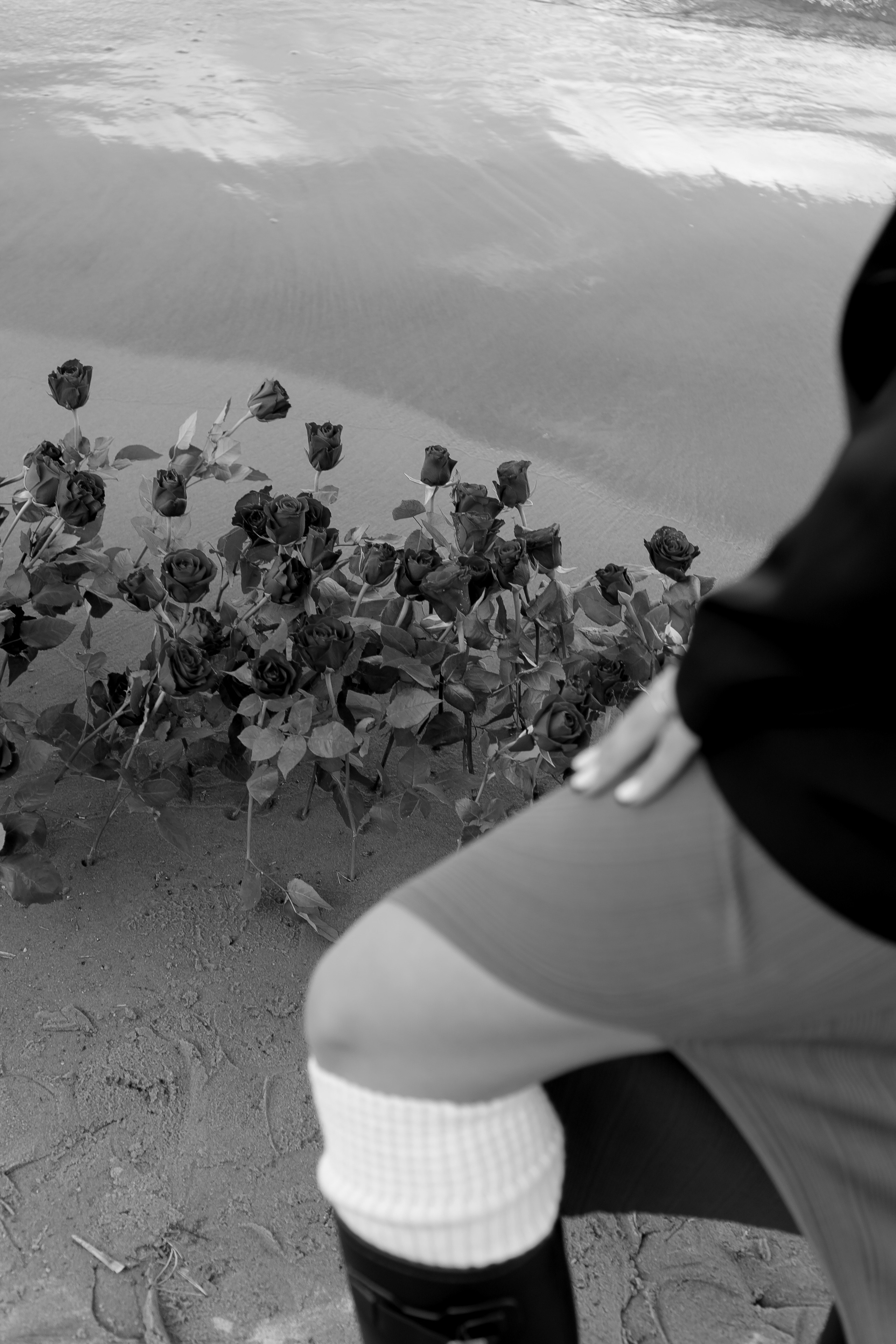 Розы. Профессиональный фотограф, Санкт-Петербург — Виктория Богомолова