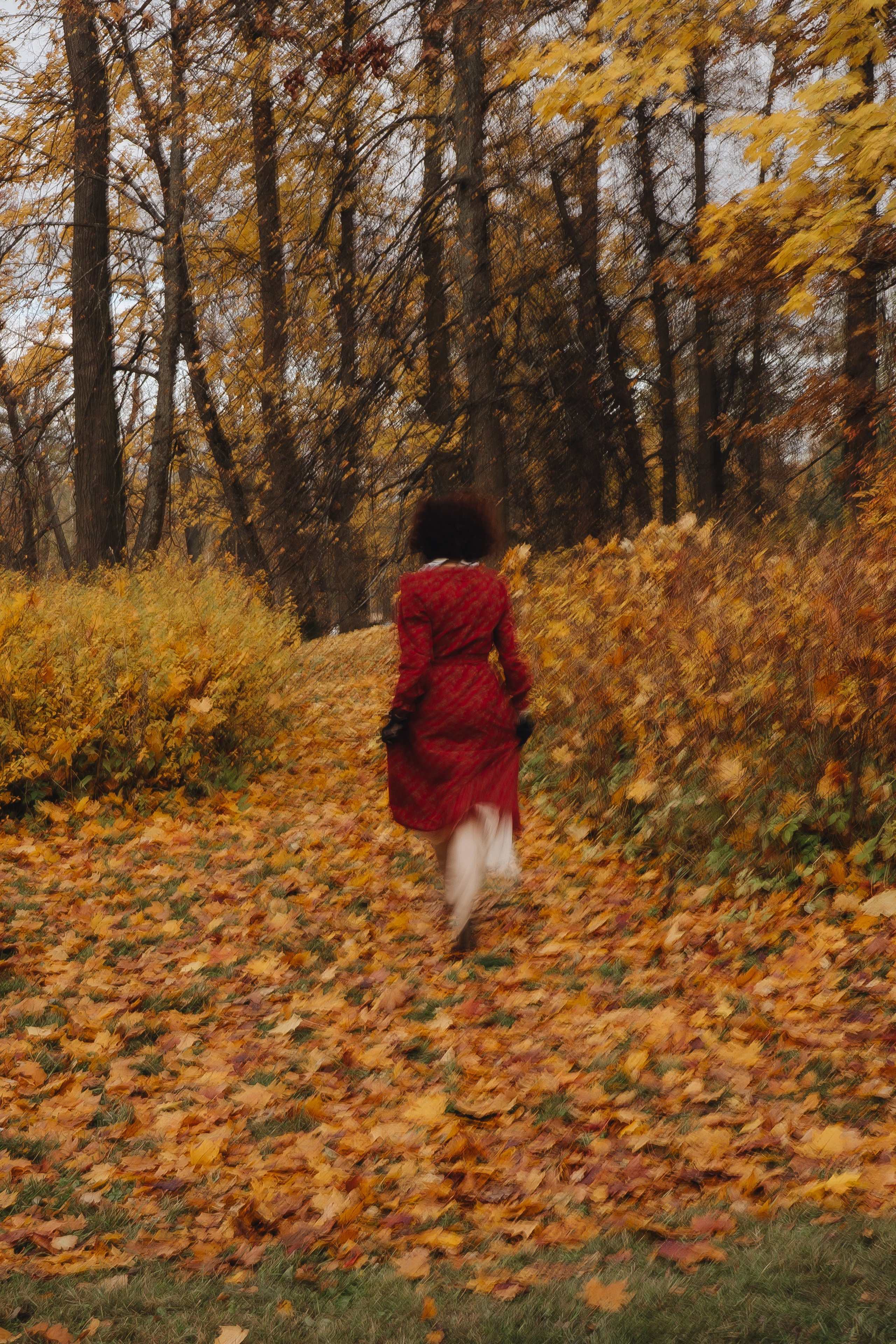 Осенний парк. Профессиональный фотограф, Санкт-Петербург — Виктория Богомолова