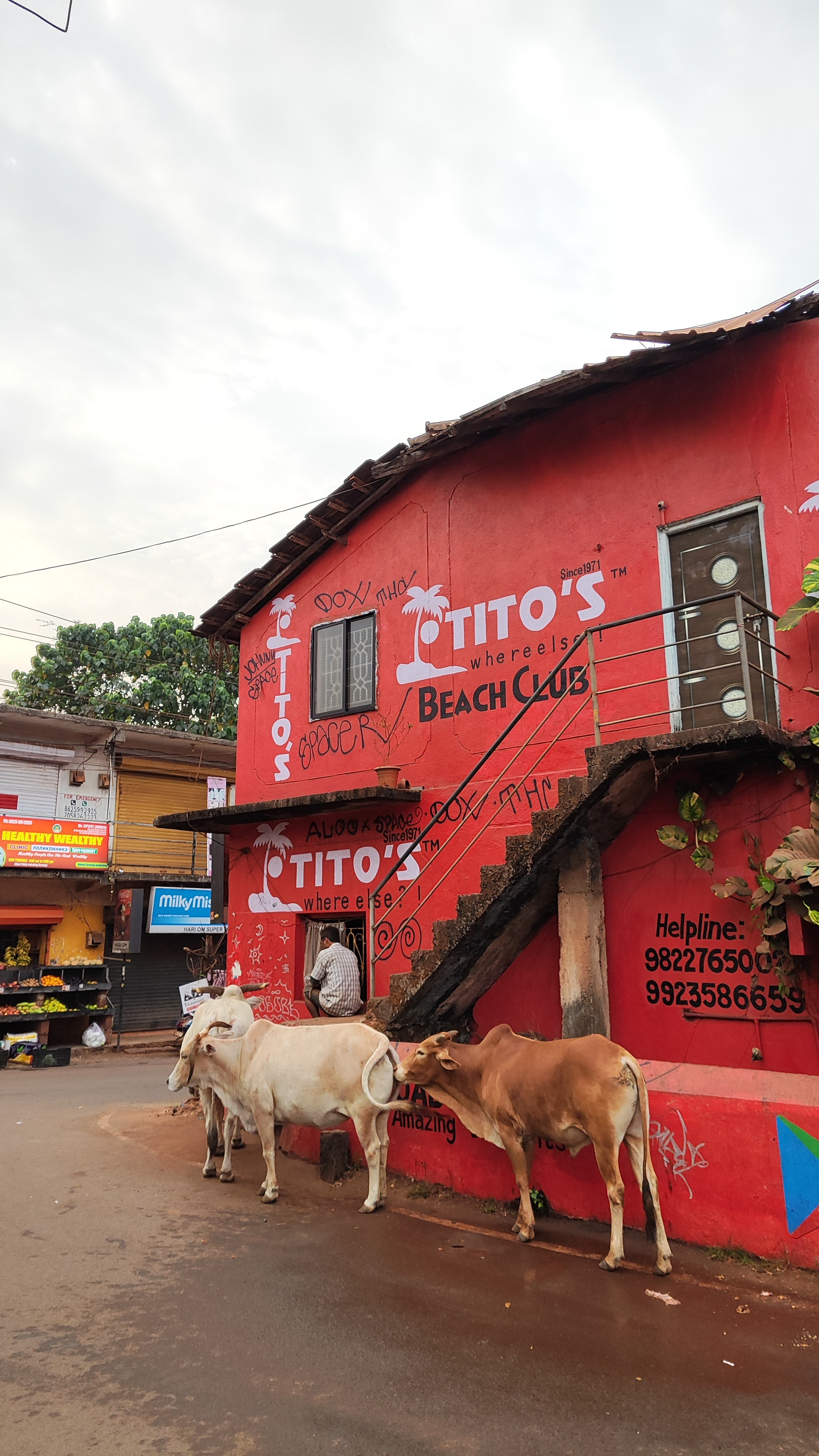 Индия. Живые снимки! Фотограф Даша Бендер