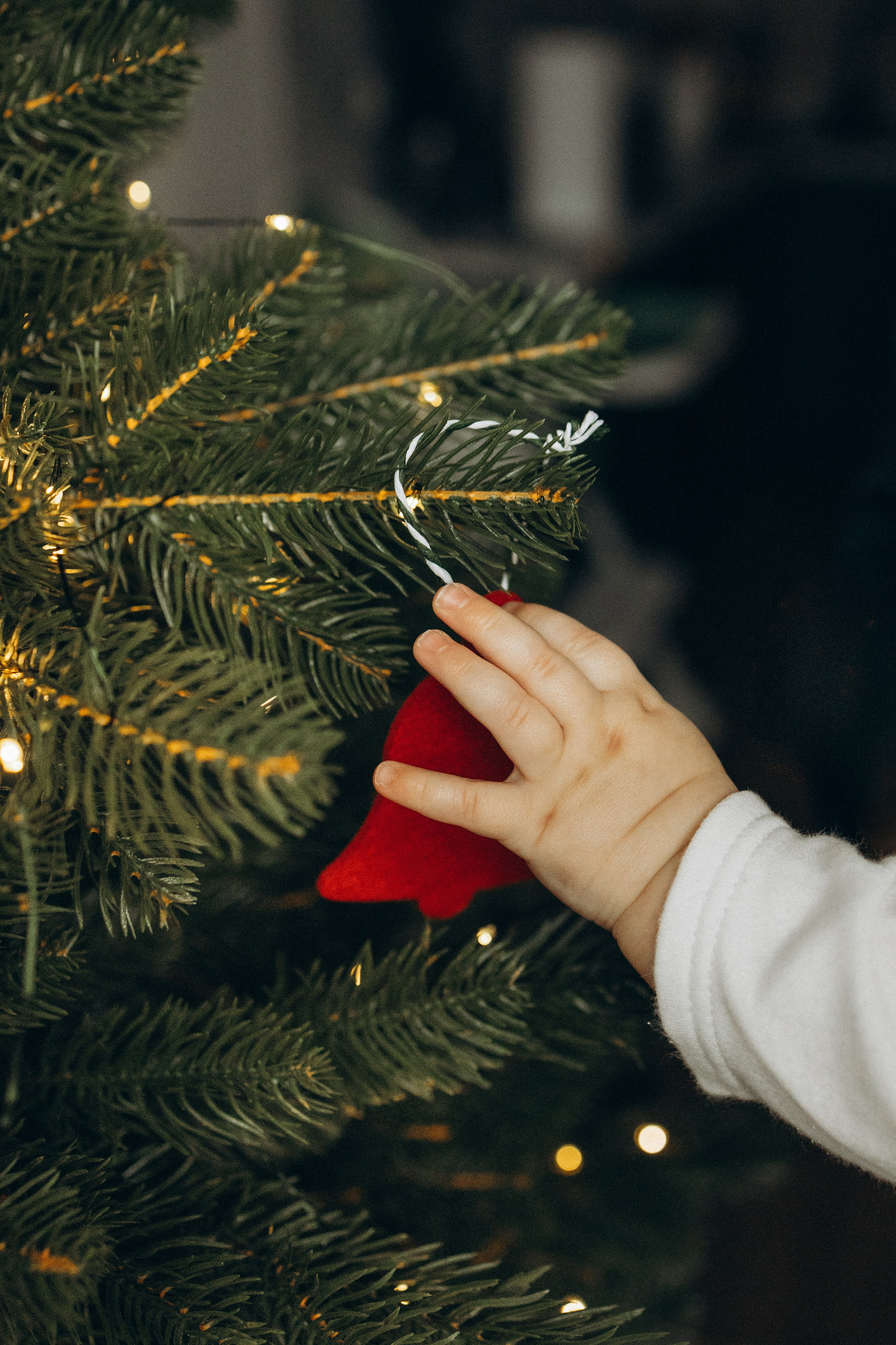 Первый Новый год Андрюши. Фотограф lifestylе в Москве Пшеничная Анастасия