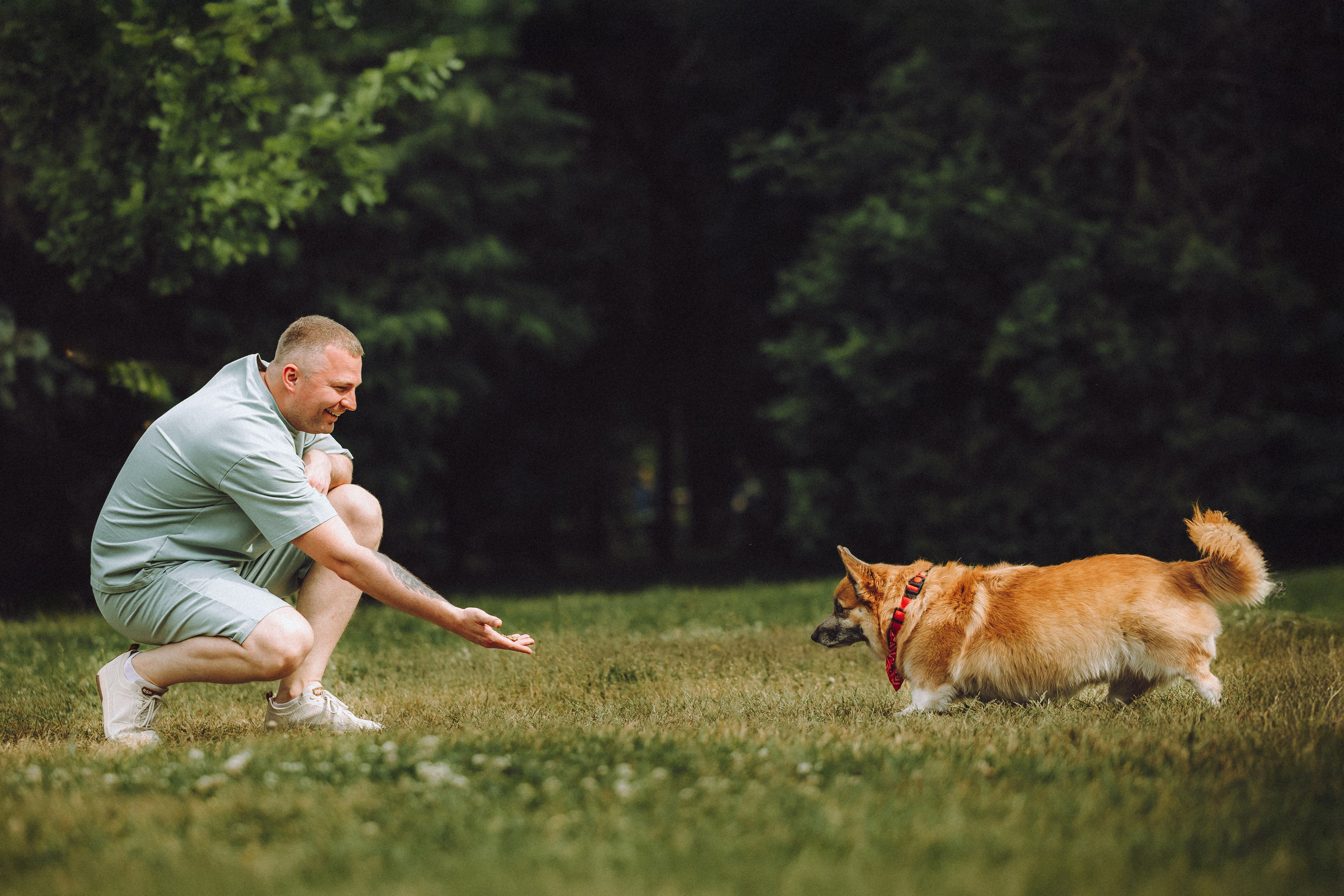 Ира, Леша и Харли