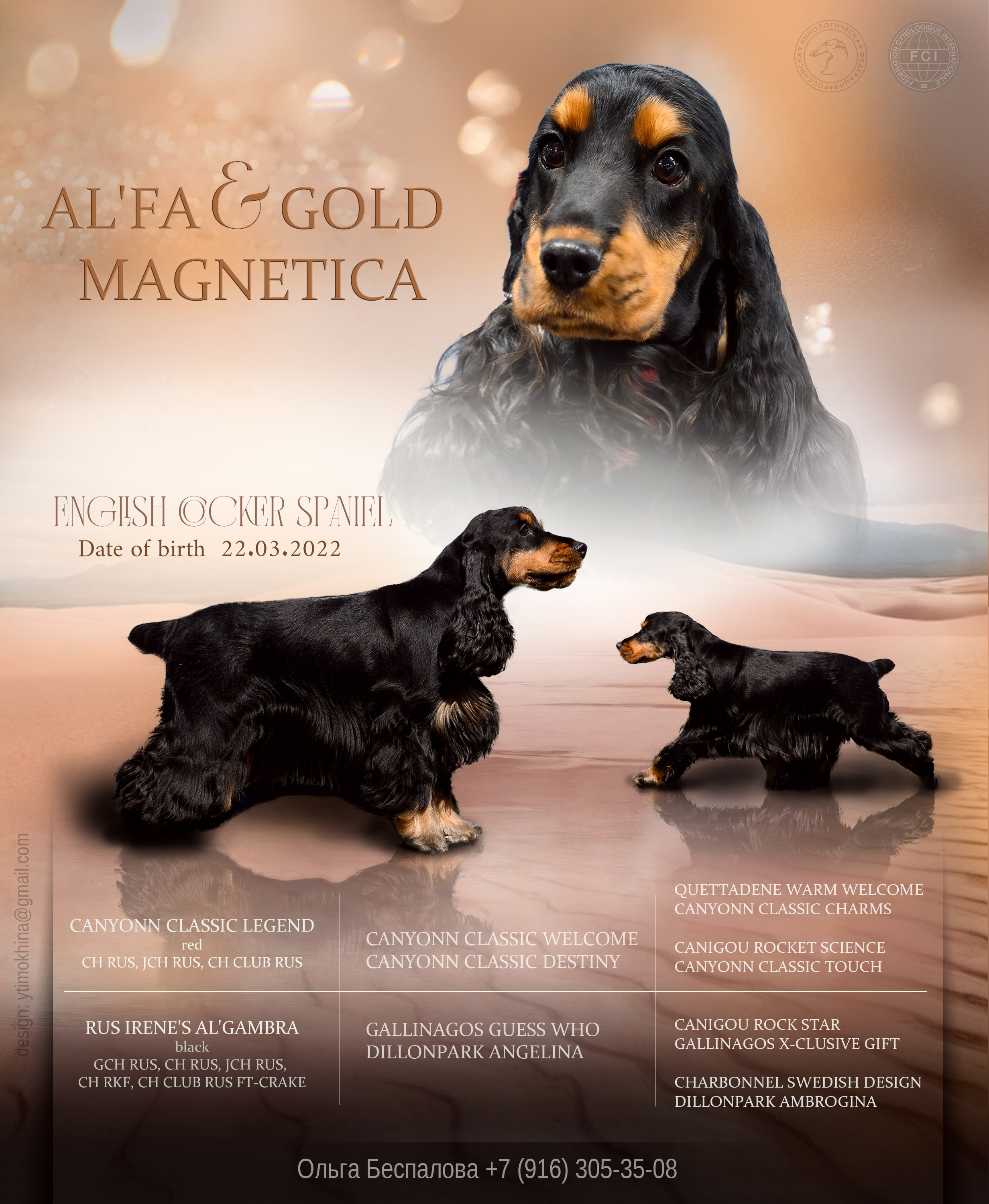 УСЛУГИ. Художник и Фотограф Тимохина Юлия