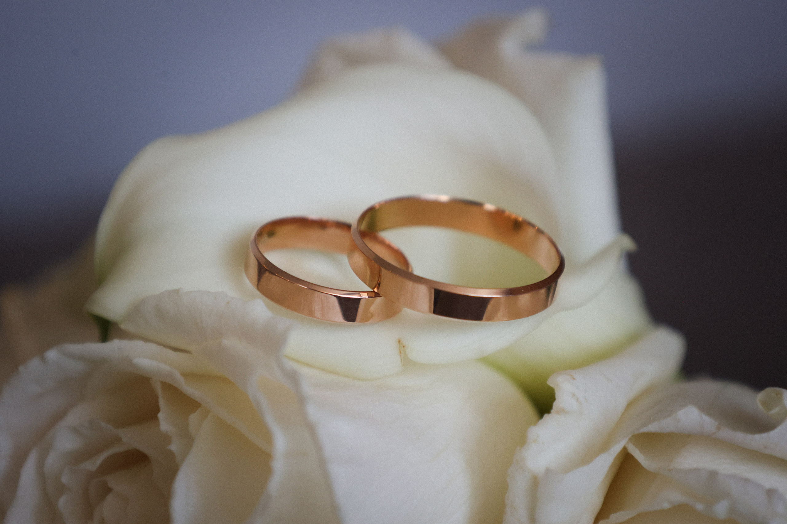 Юлия и Владимир. Свадебный фотограф и рилсмейкер | Астрахань